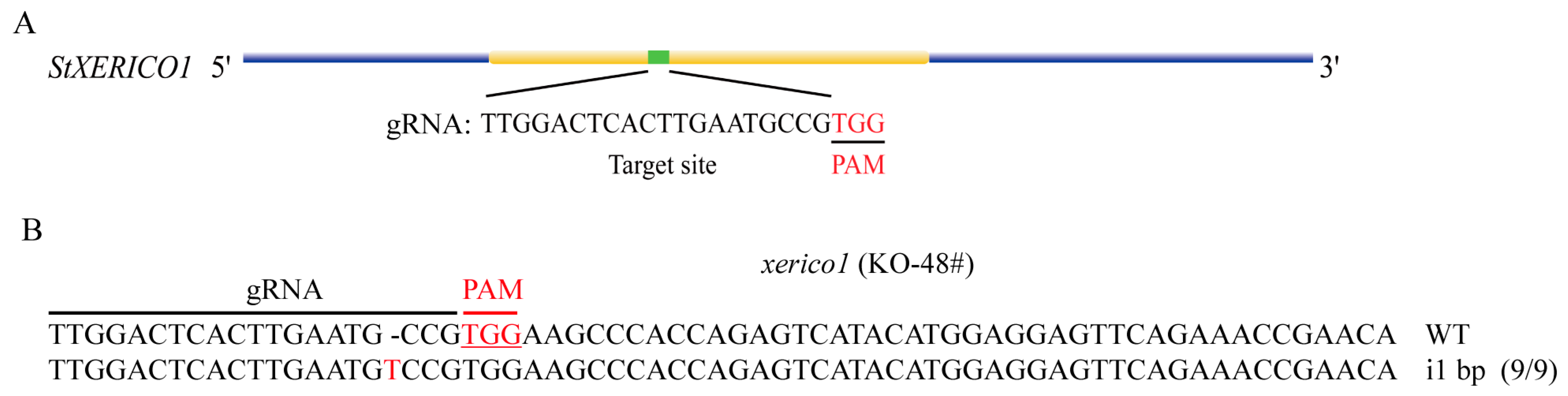 Agronomy 14 02305 g004
