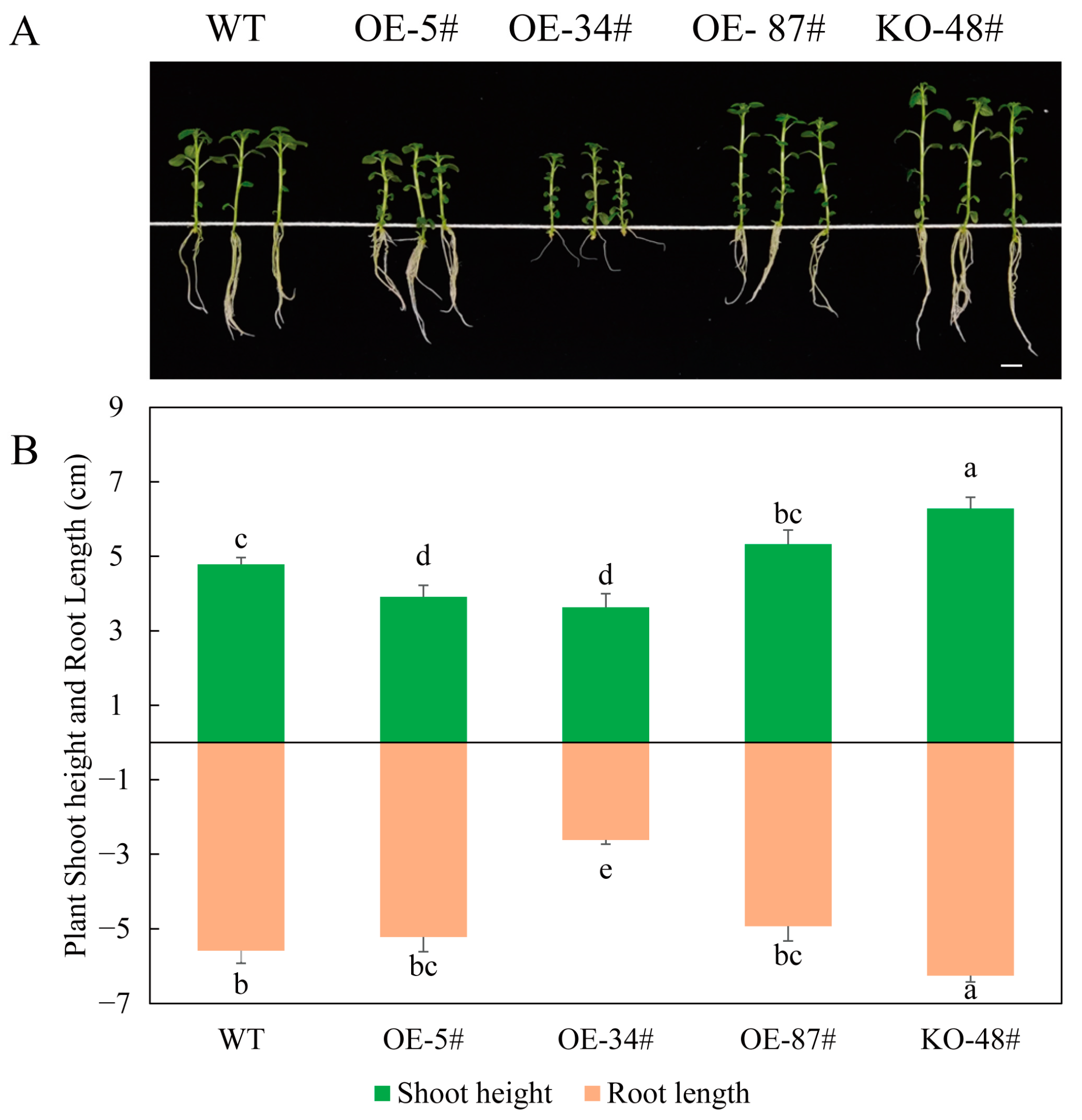 Agronomy 14 02305 g005