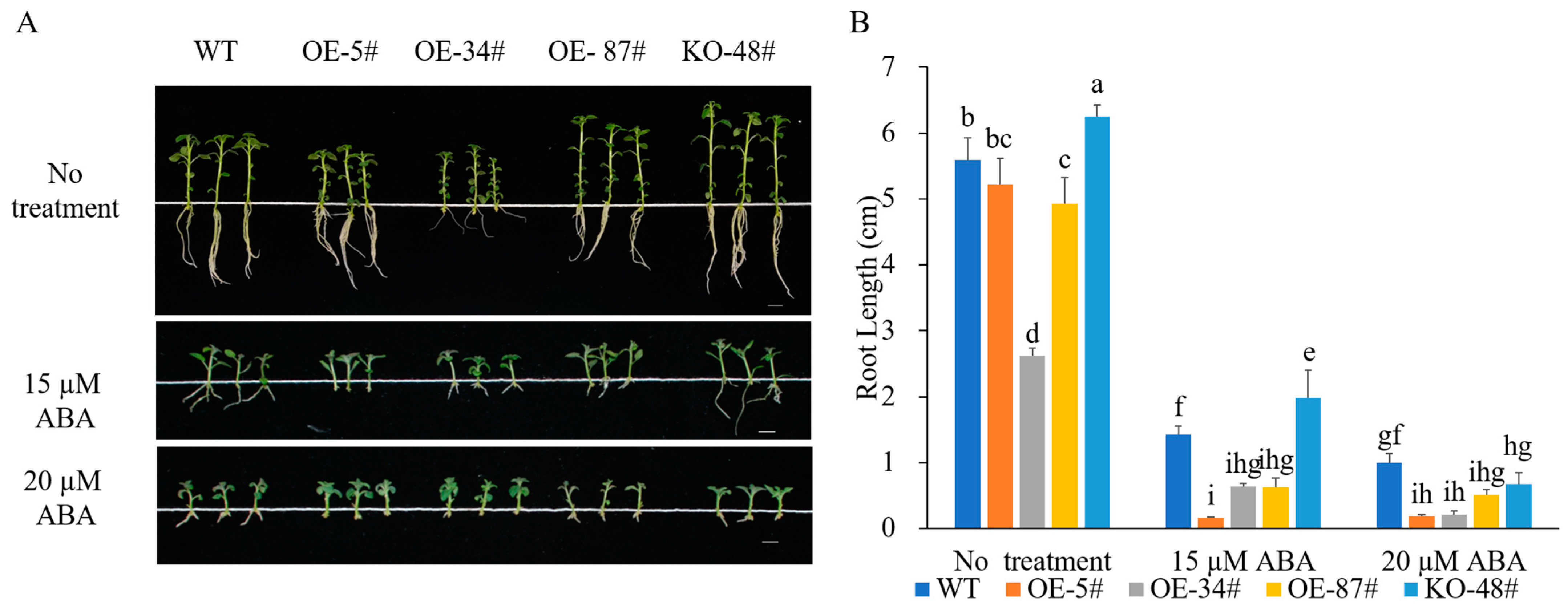 Agronomy 14 02305 g006