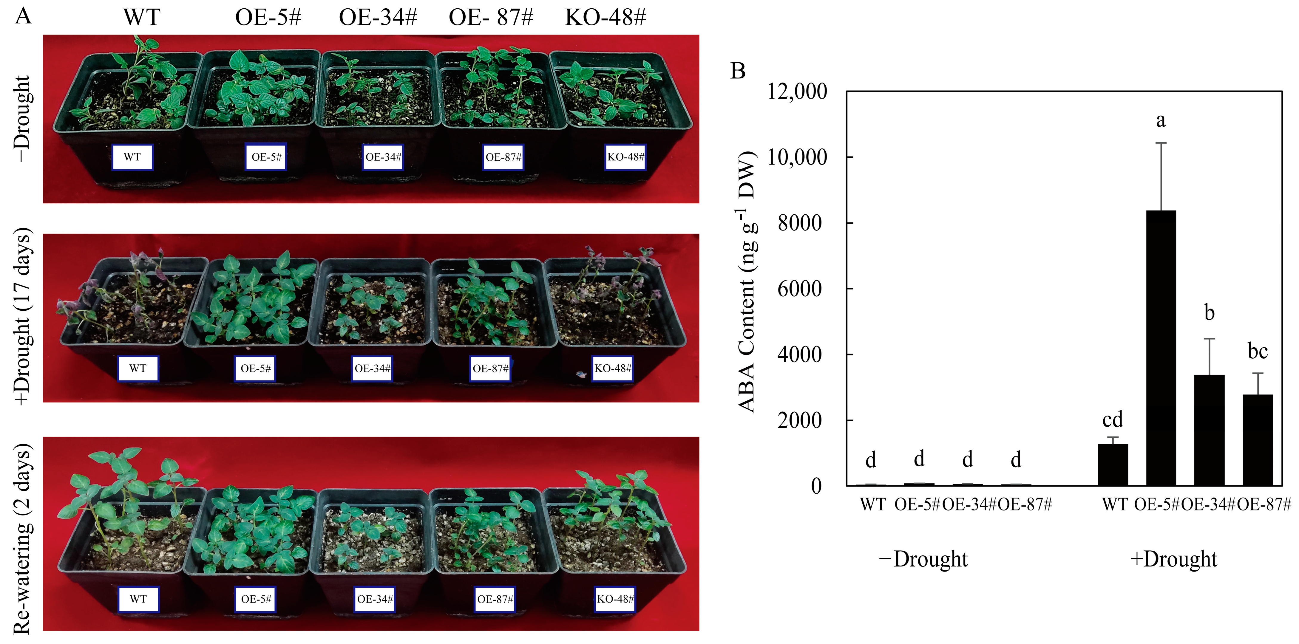 Agronomy 14 02305 g007