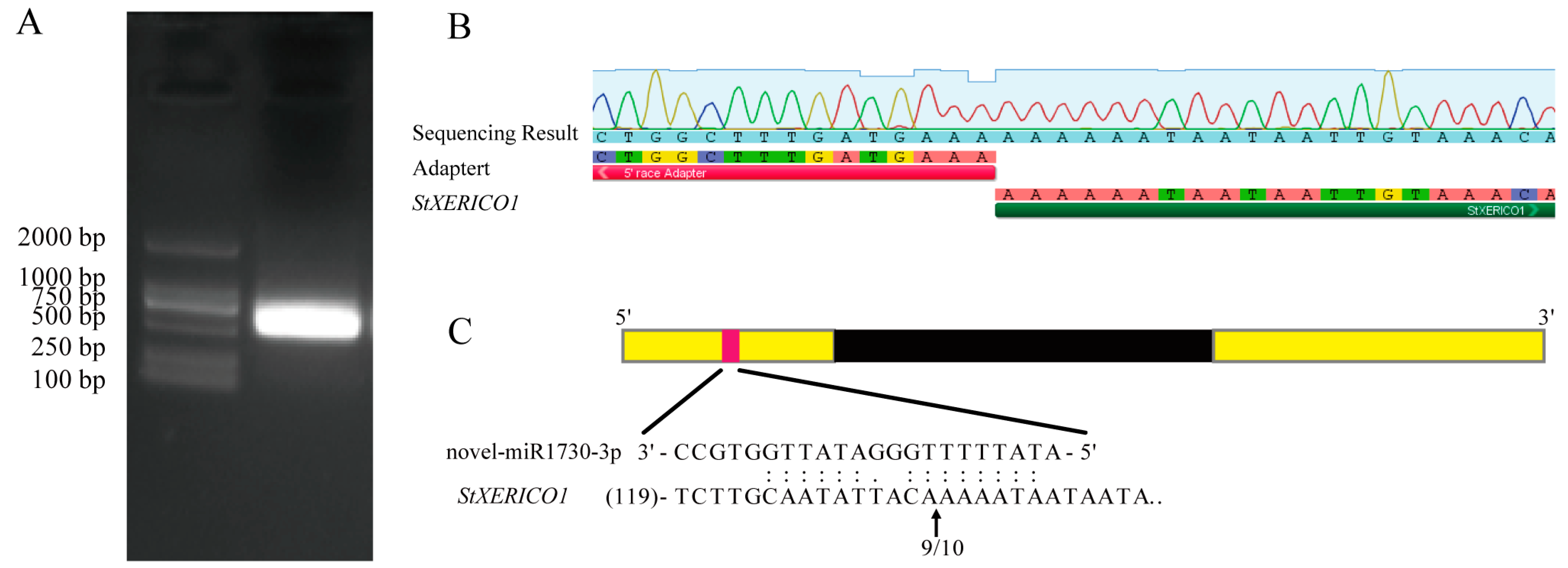 Agronomy 14 02305 g011