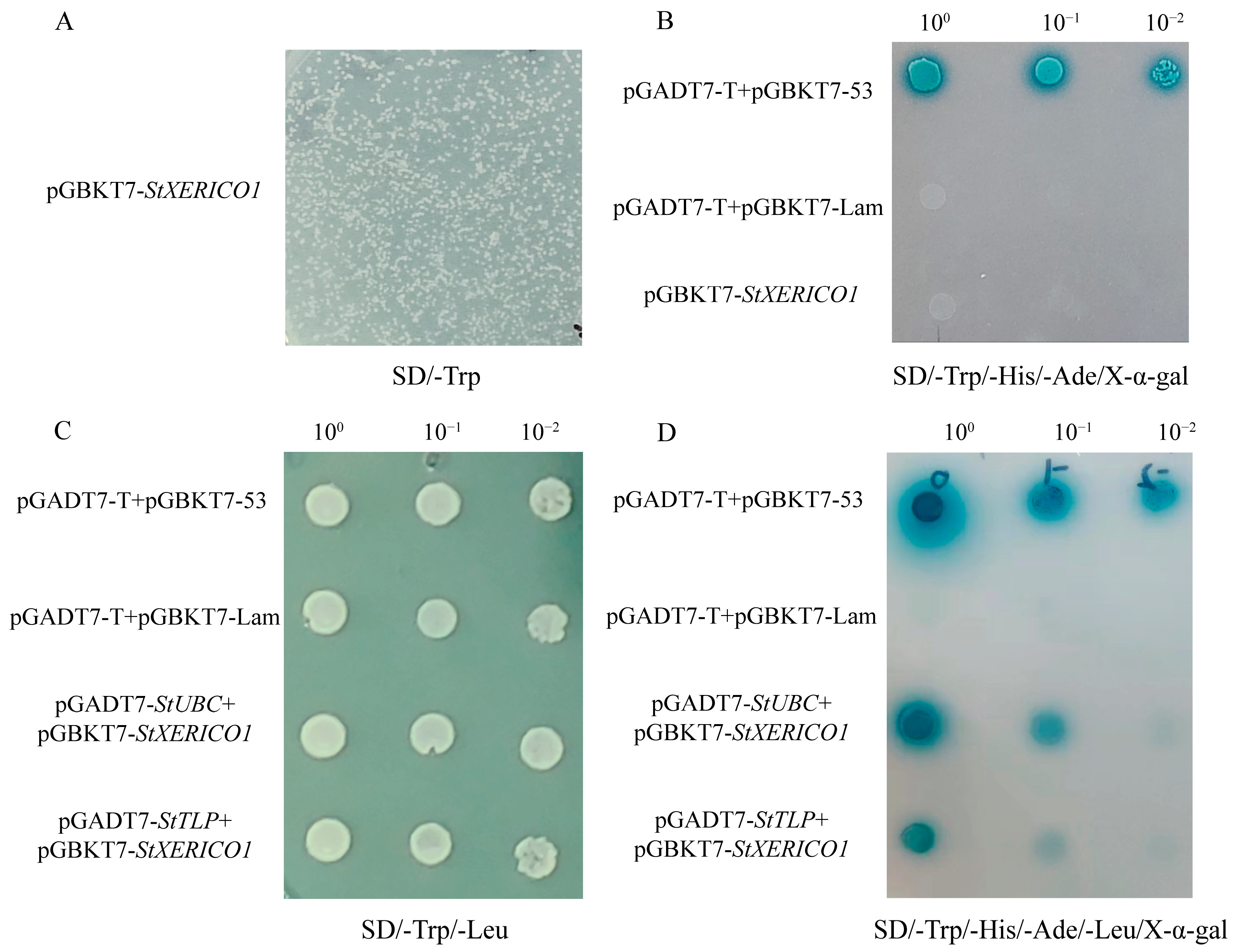 Agronomy 14 02305 g014