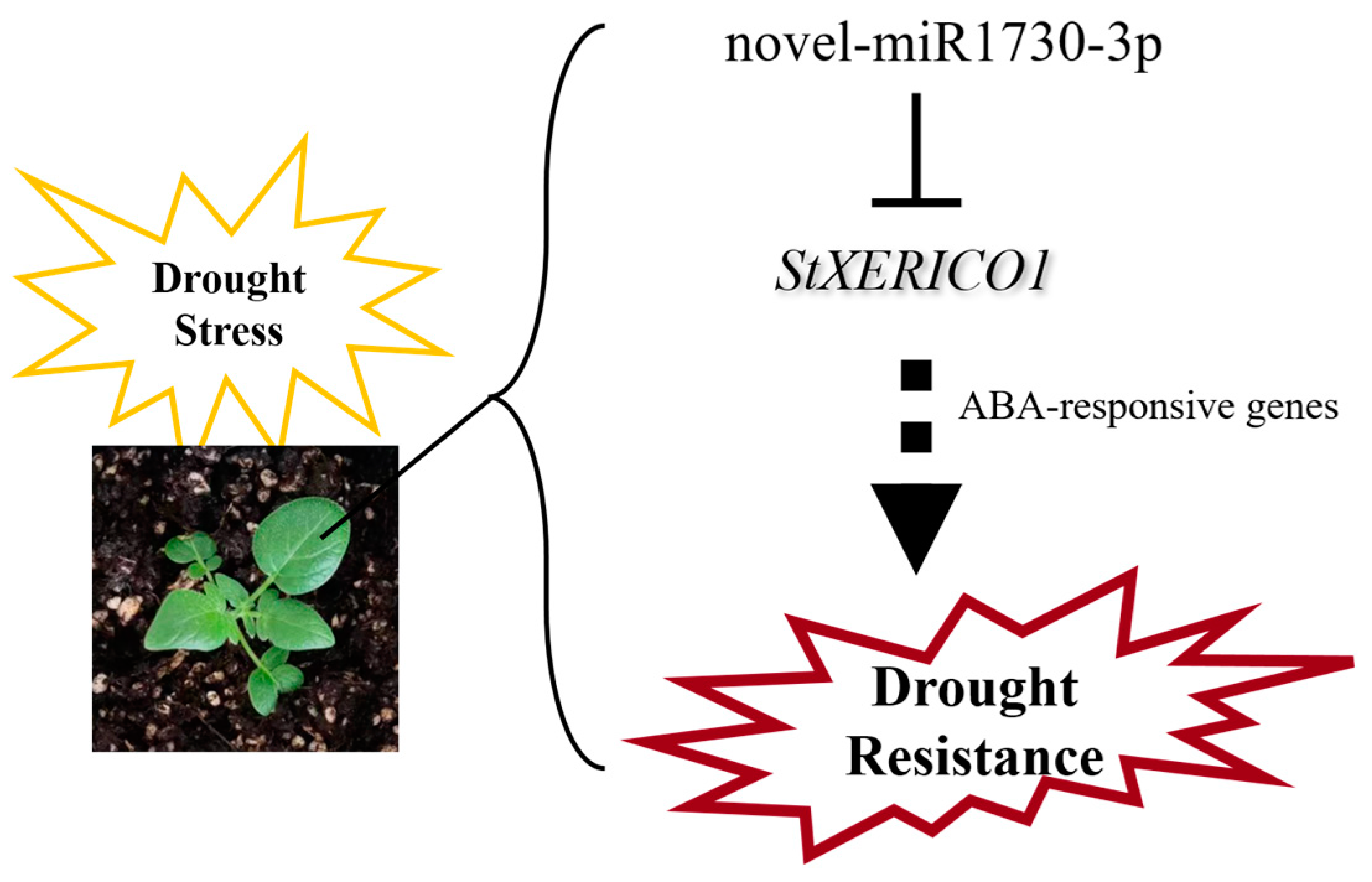 Agronomy 14 02305 g015