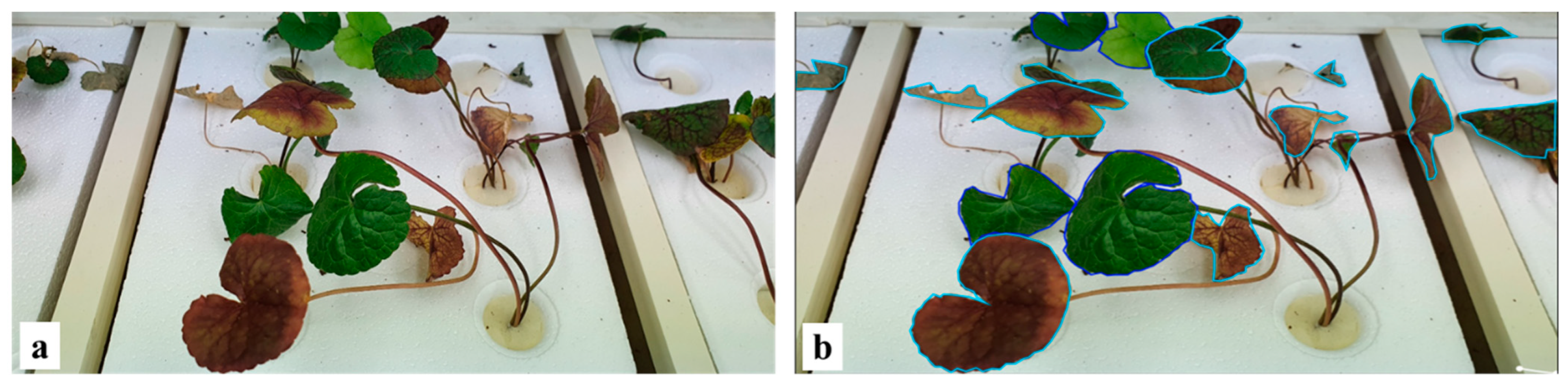 Agronomy 14 02313 g002