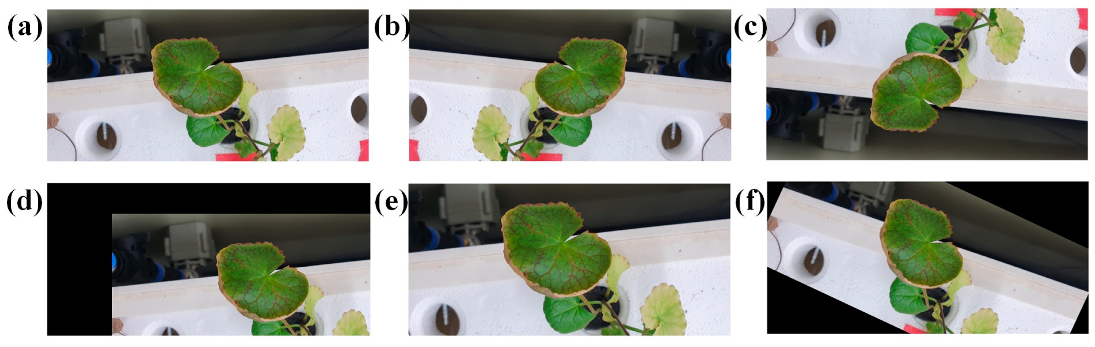 Agronomy 14 02313 g003