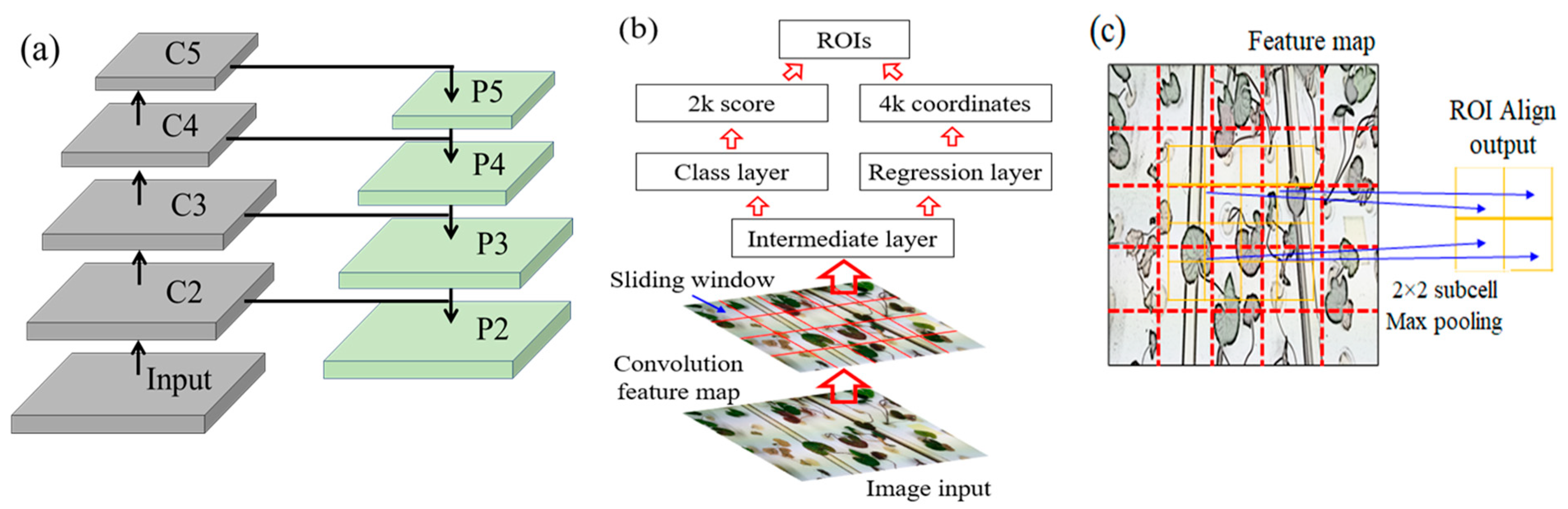 Agronomy 14 02313 g005