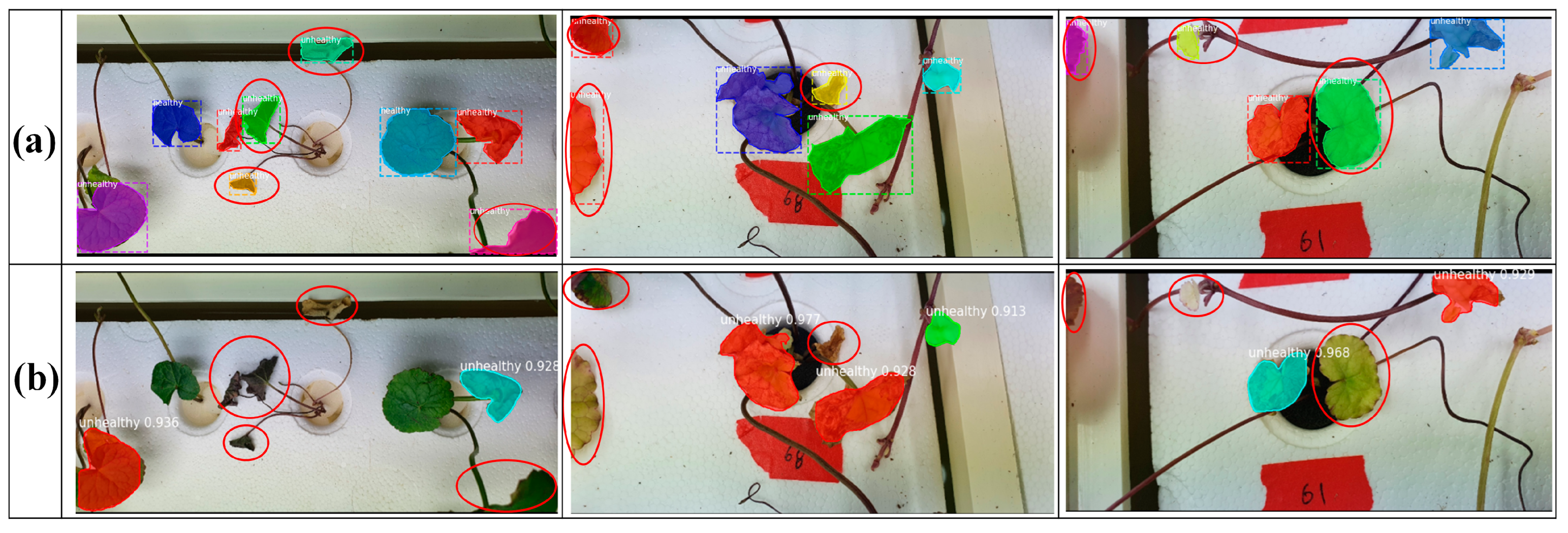 Agronomy 14 02313 g013