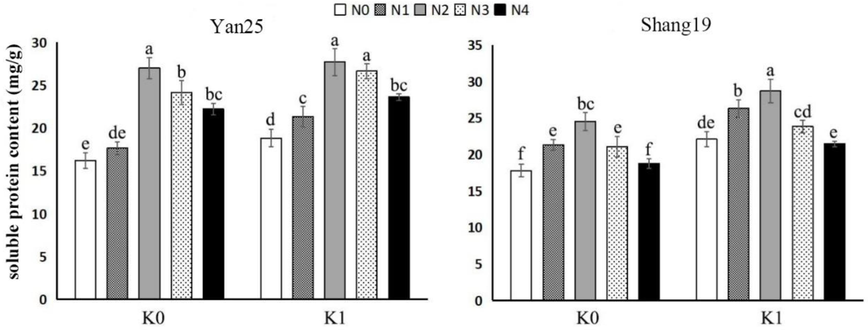 Agronomy 14 02319 g001