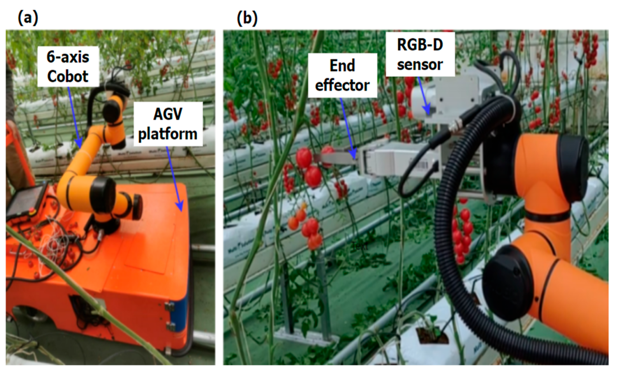 Agronomy 14 02320 g002