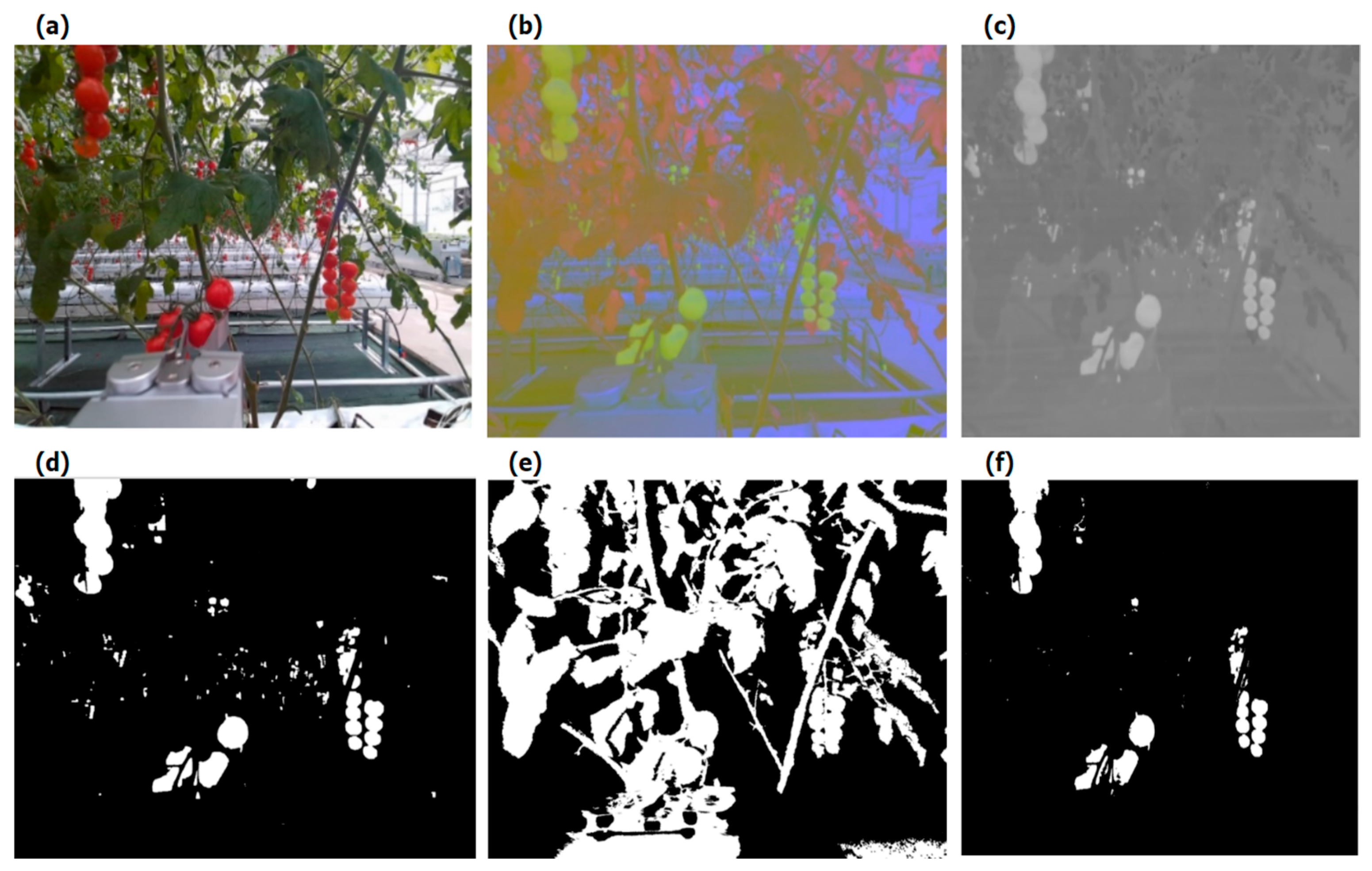Agronomy 14 02320 g004