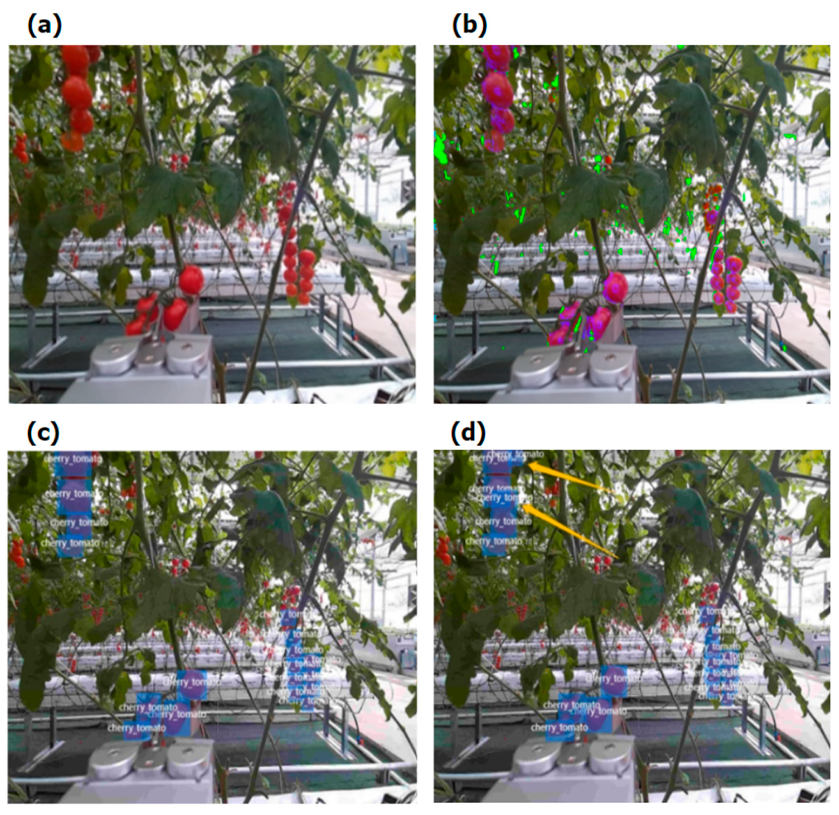 Agronomy 14 02320 g009