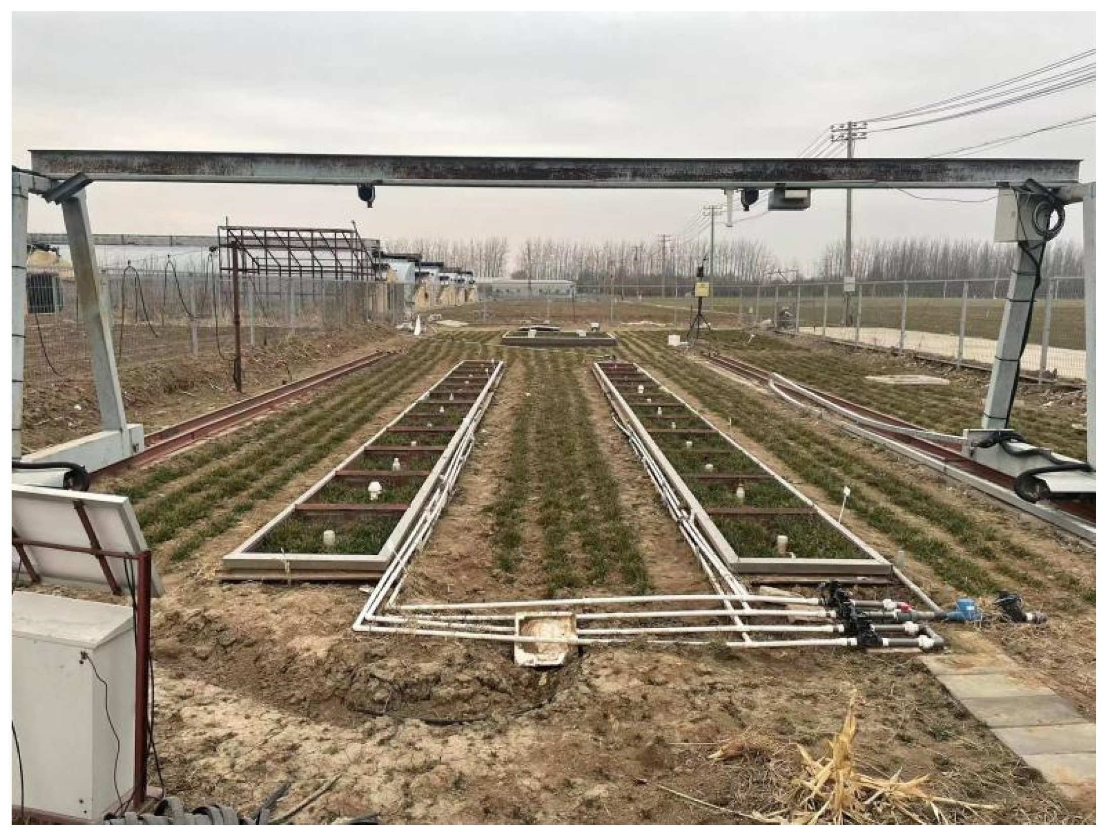 Agronomy 14 02325 g001