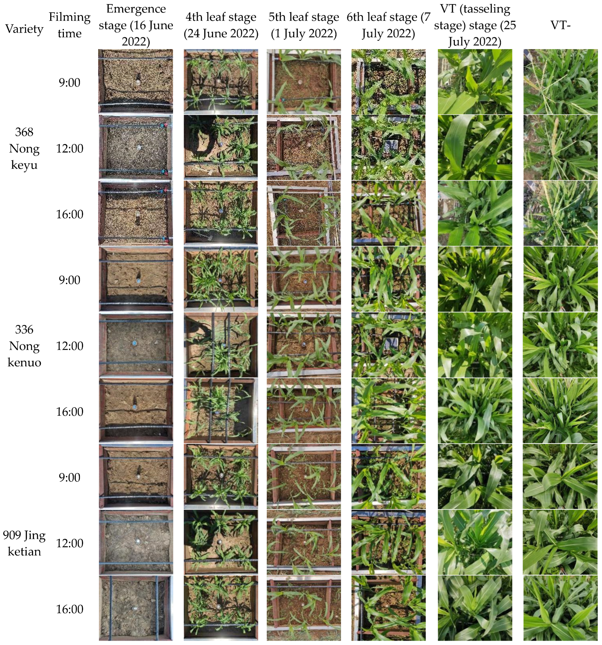 Agronomy 14 02325 g002