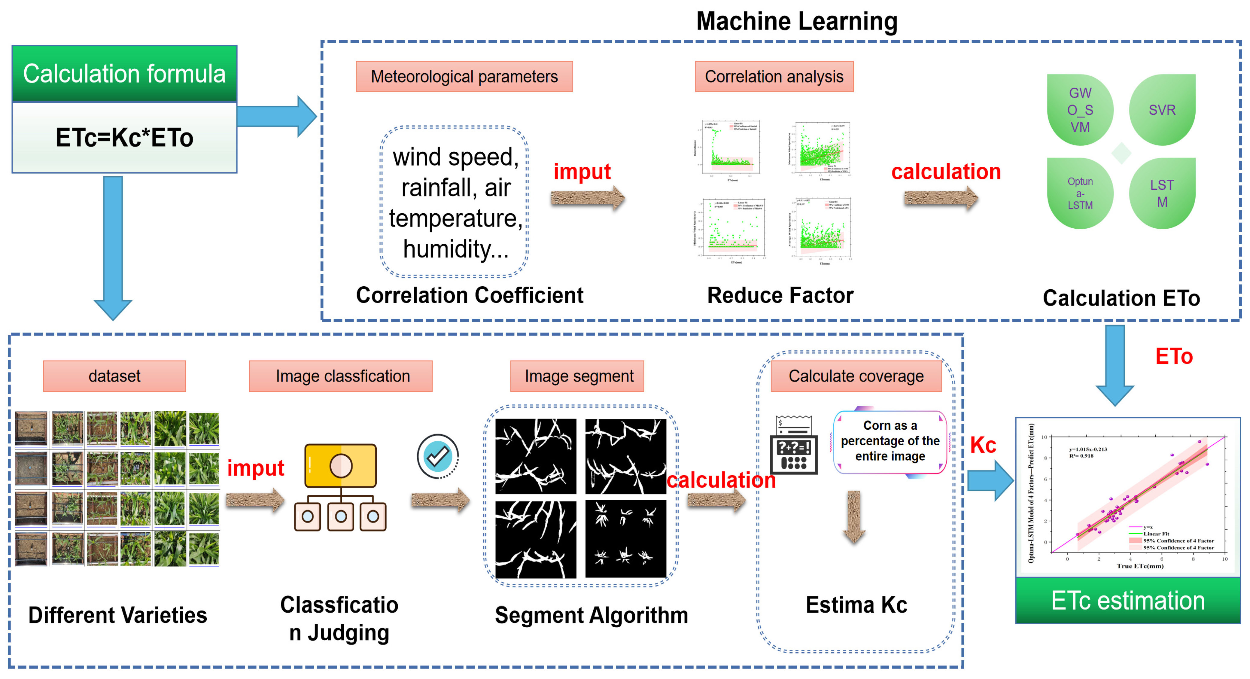 Agronomy 14 02325 g004