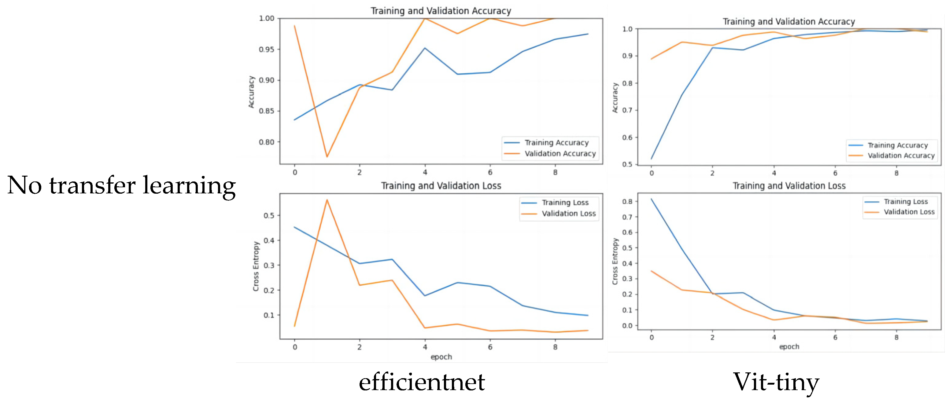 Agronomy 14 02325 g008b