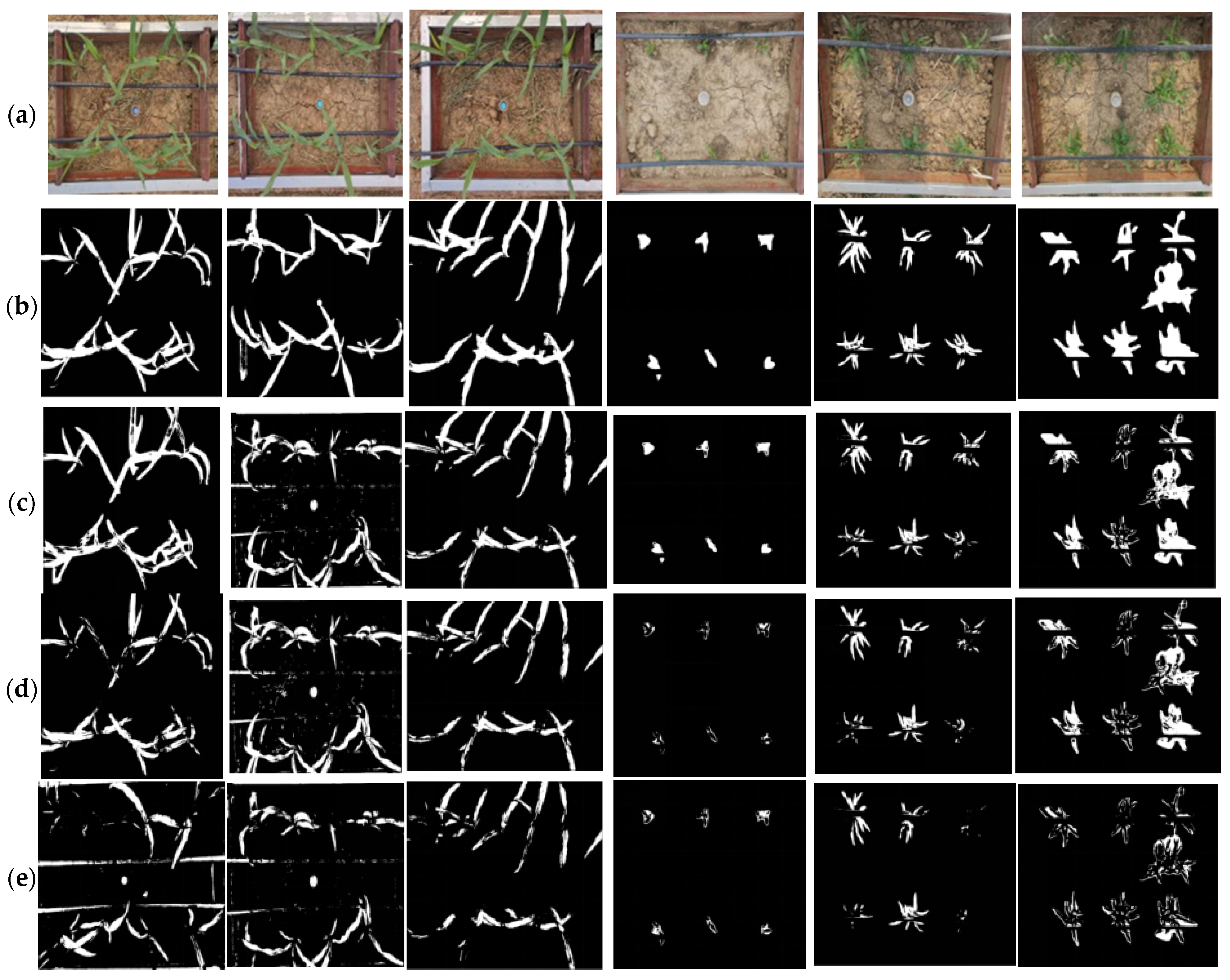 Agronomy 14 02325 g010