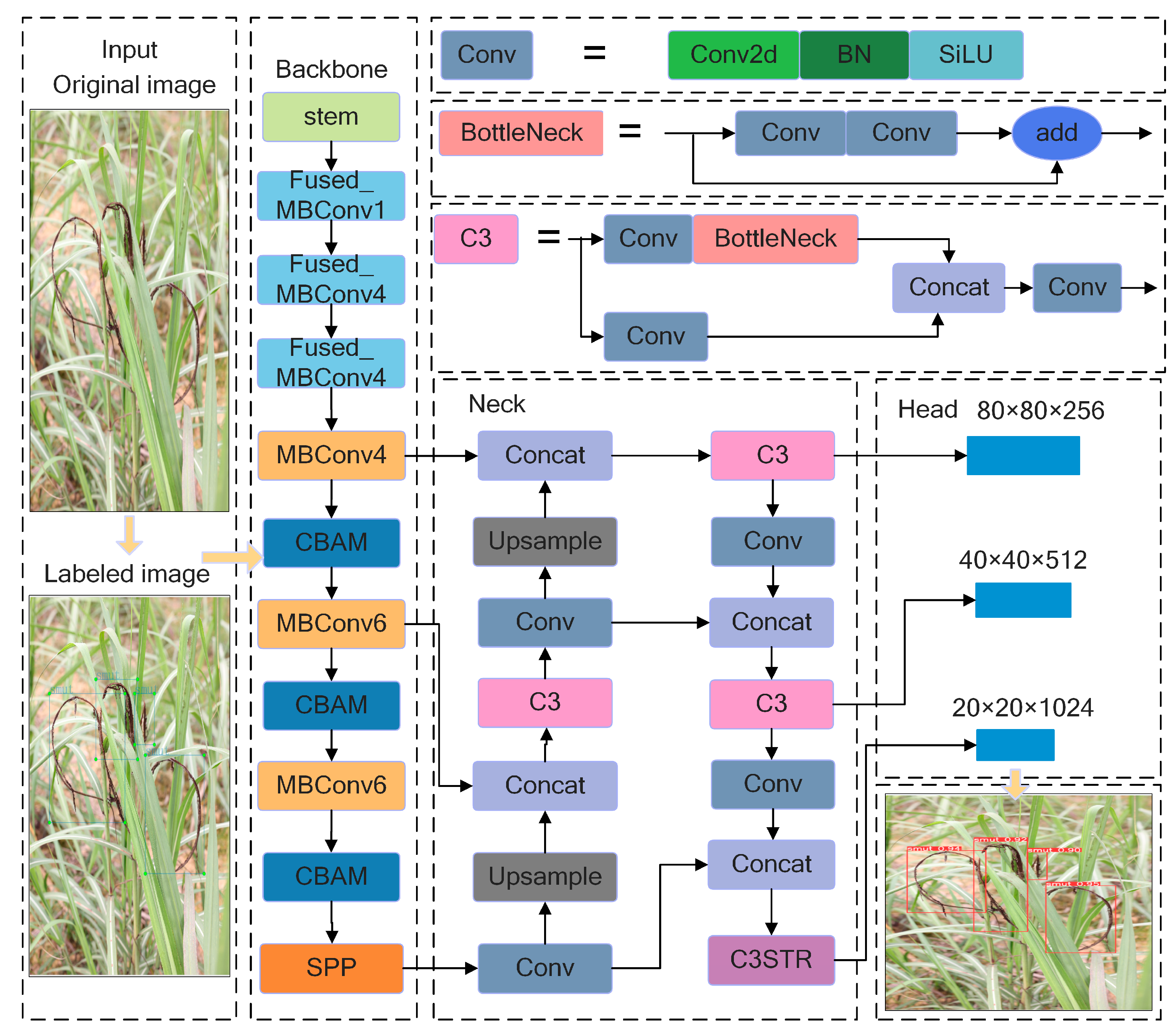 Agronomy 14 02327 g004