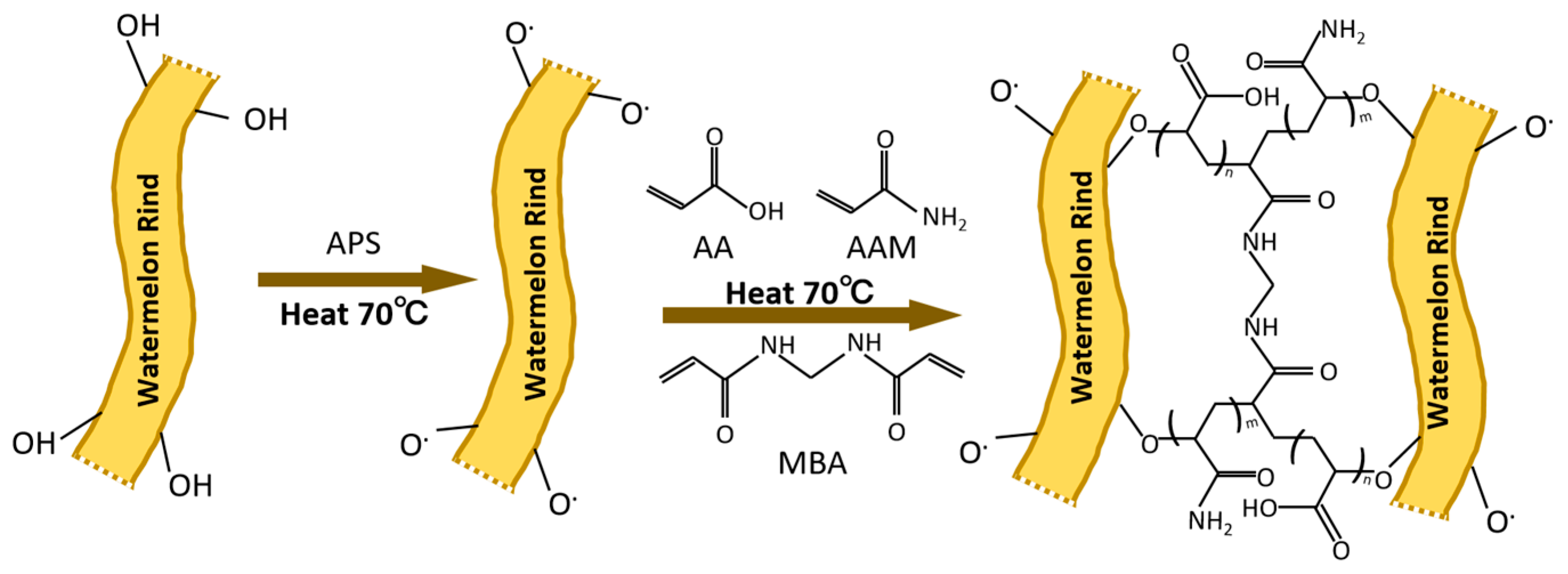 Agronomy 14 02329 g001