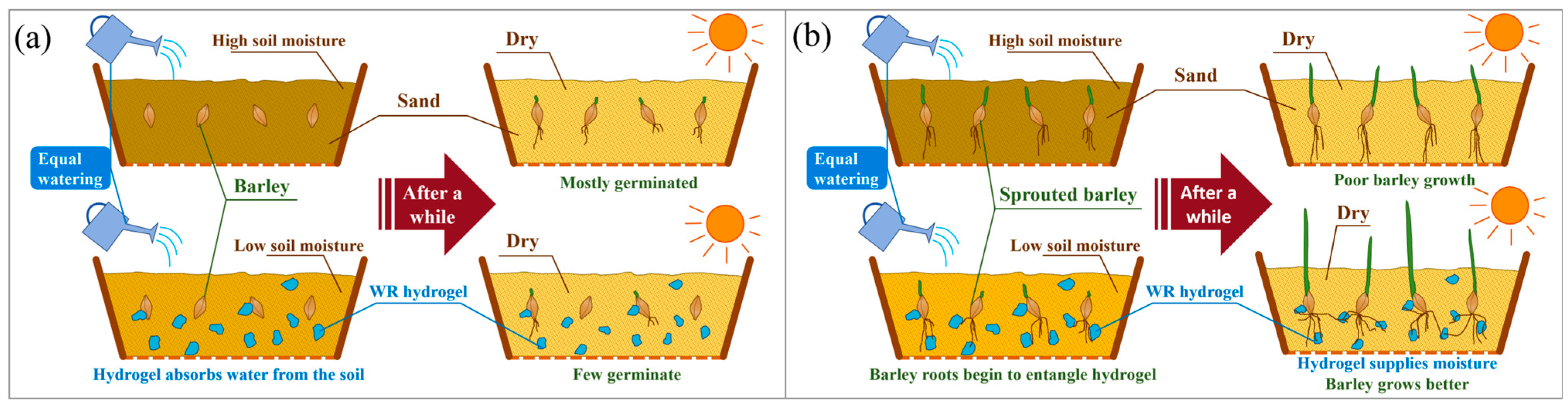 Agronomy 14 02329 g003