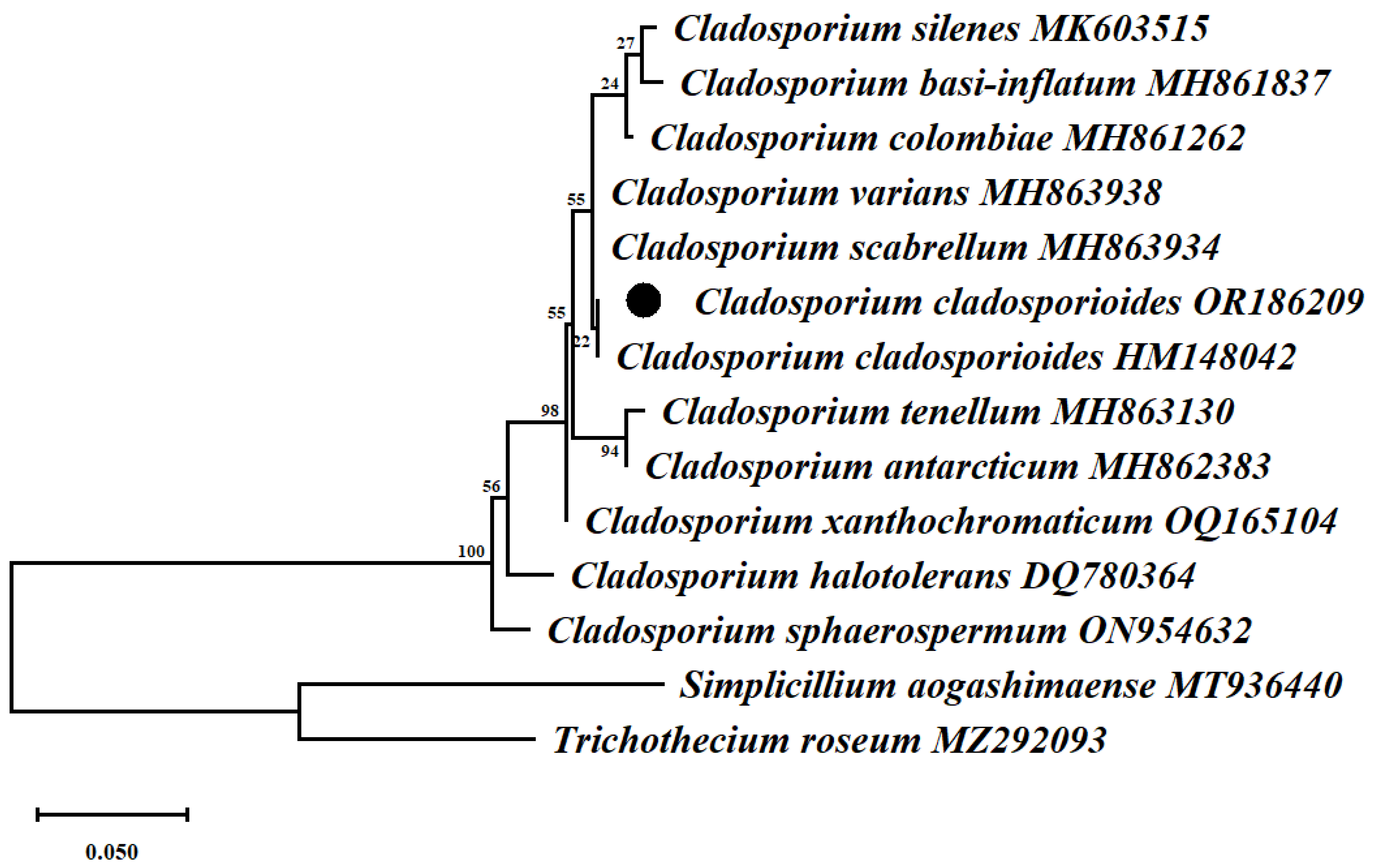 Agronomy 14 02330 g002