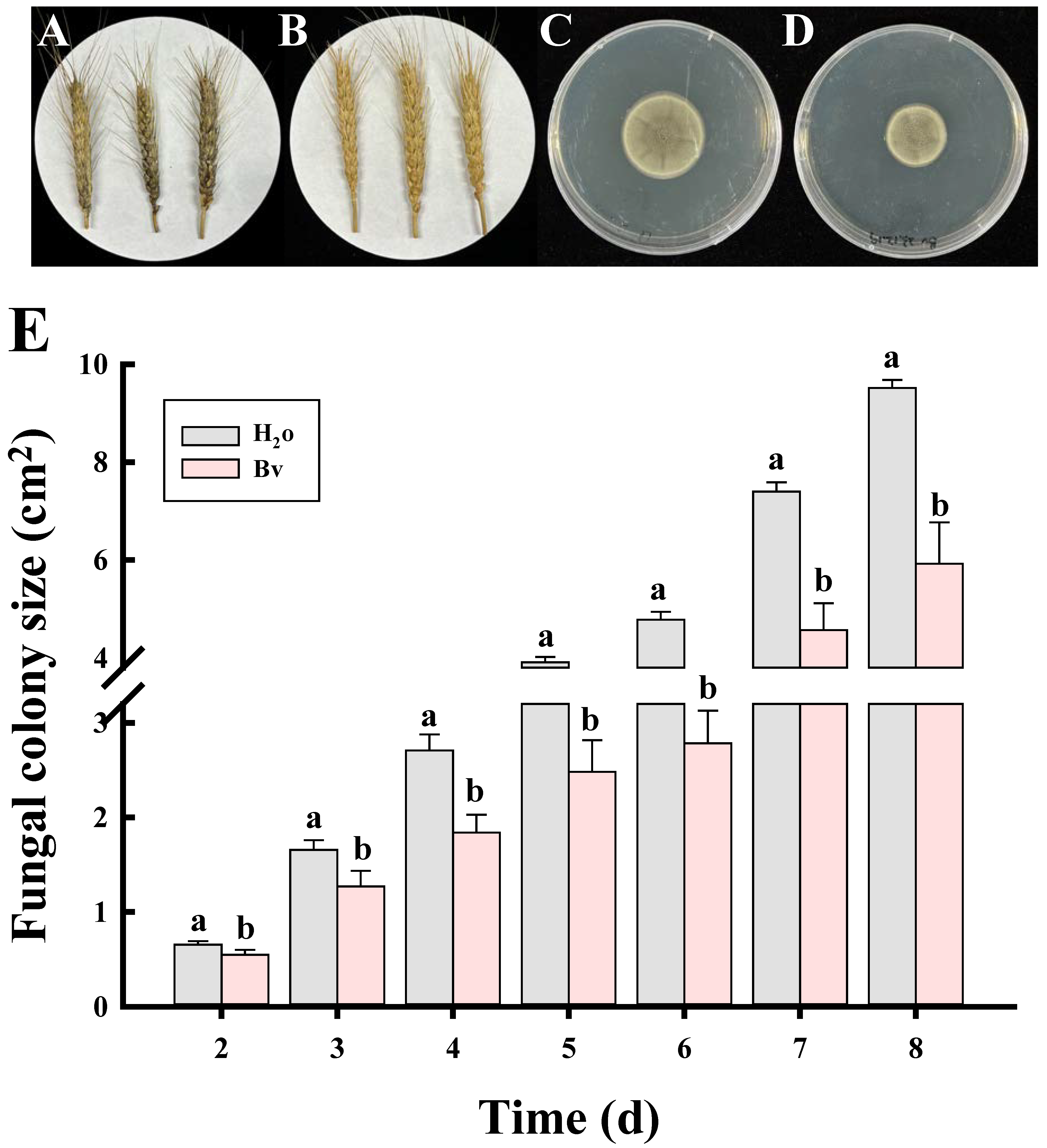 Agronomy 14 02330 g005