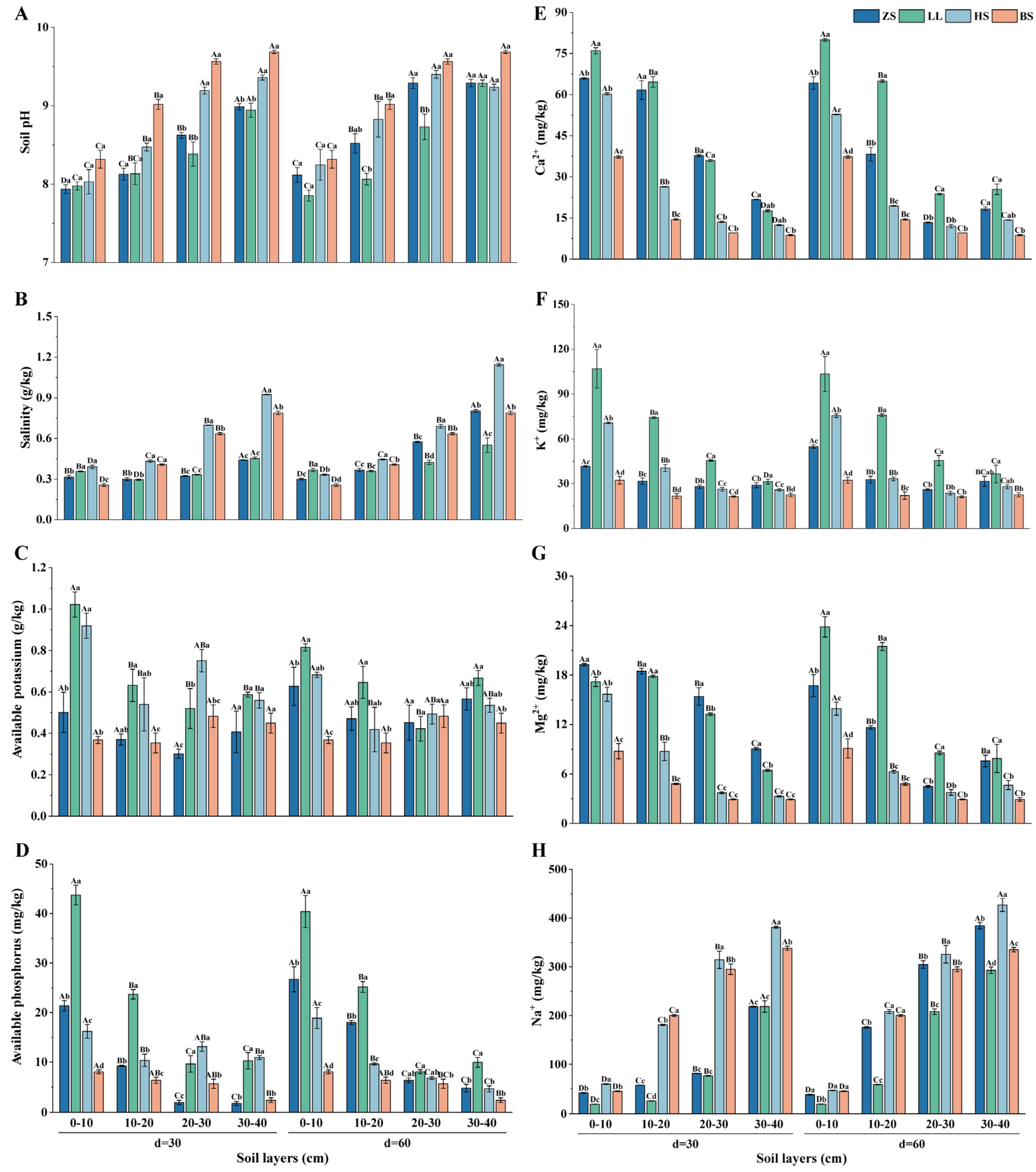 Agronomy 14 02331 g001