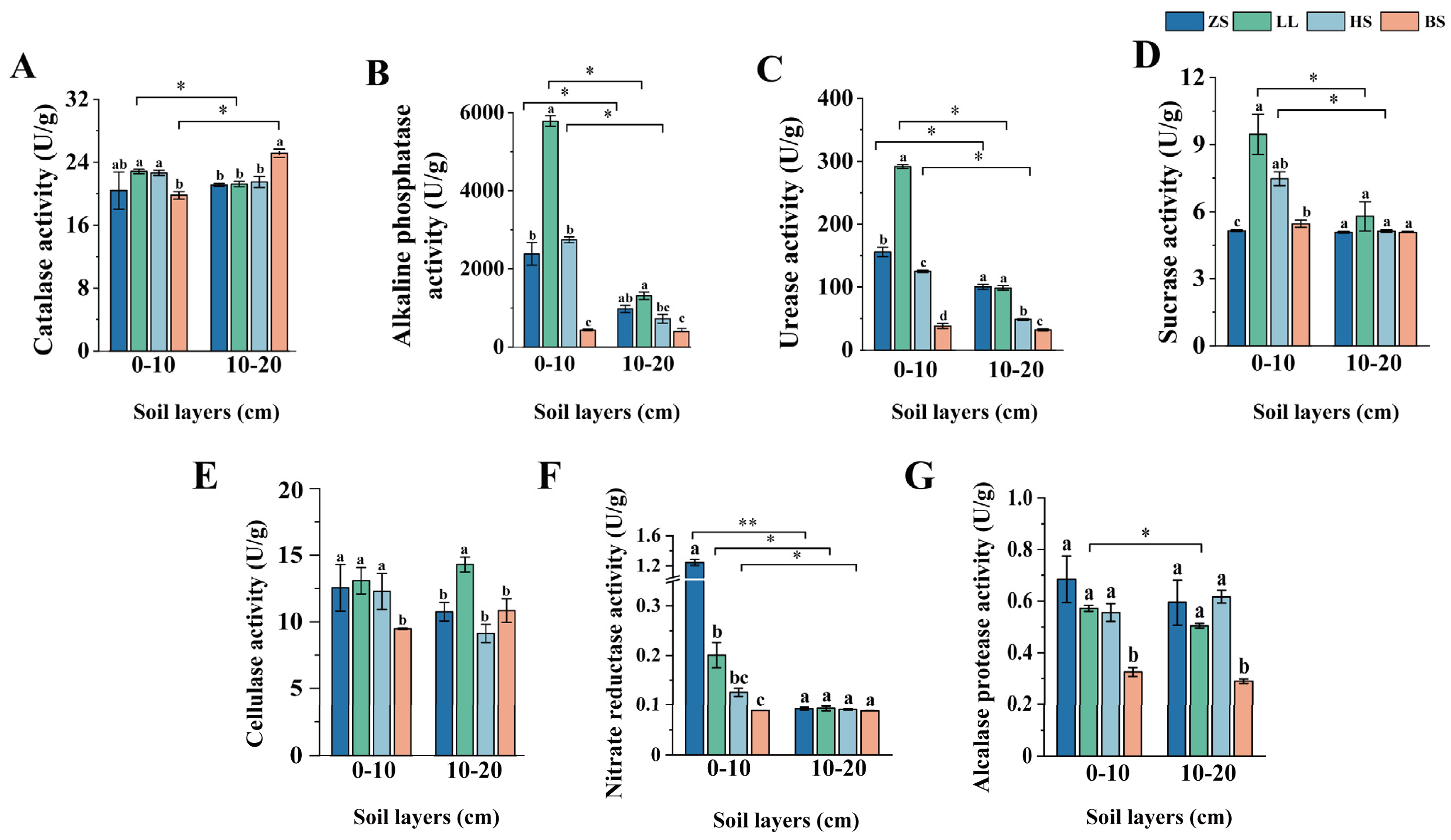Agronomy 14 02331 g004