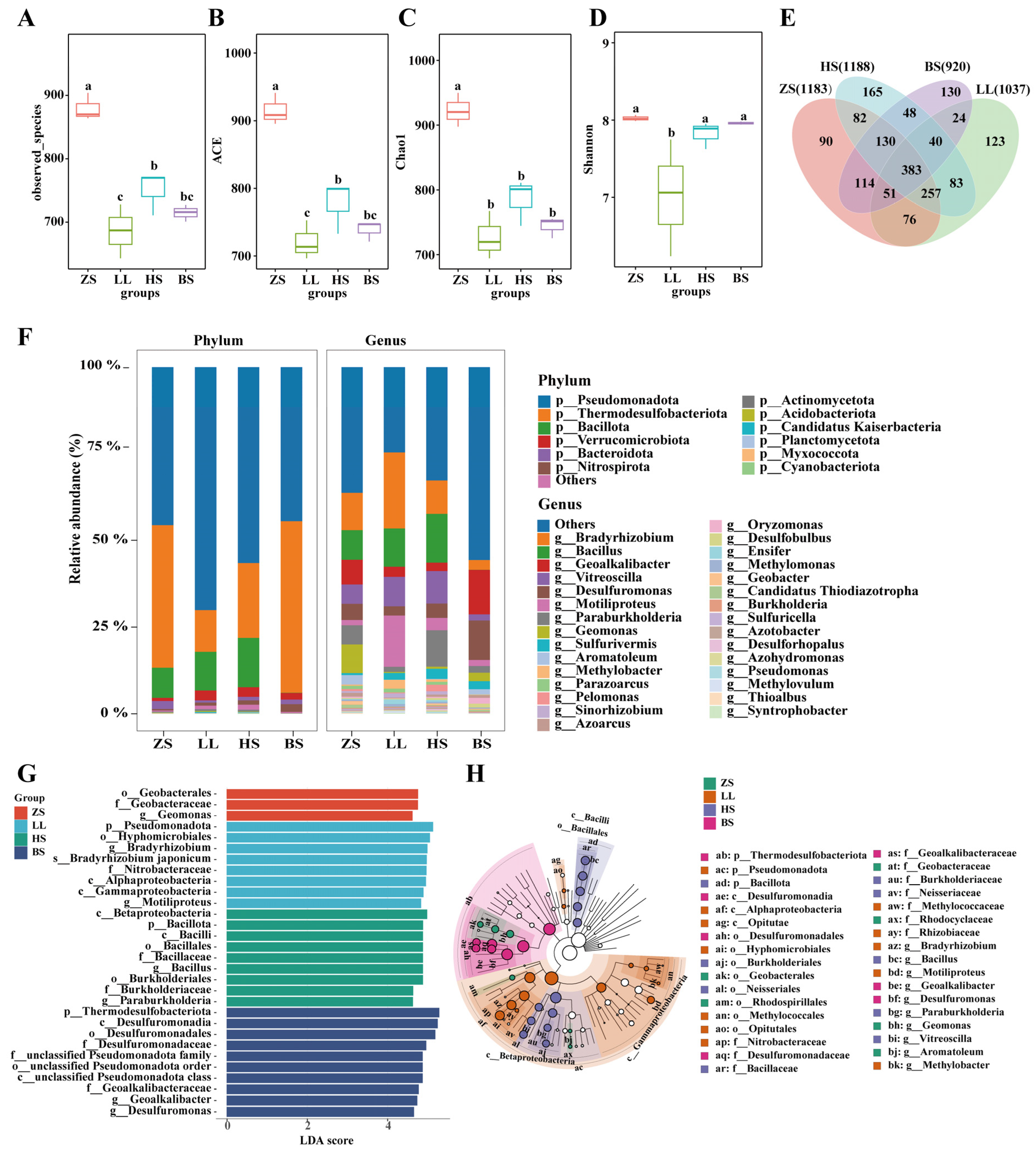 Agronomy 14 02331 g006