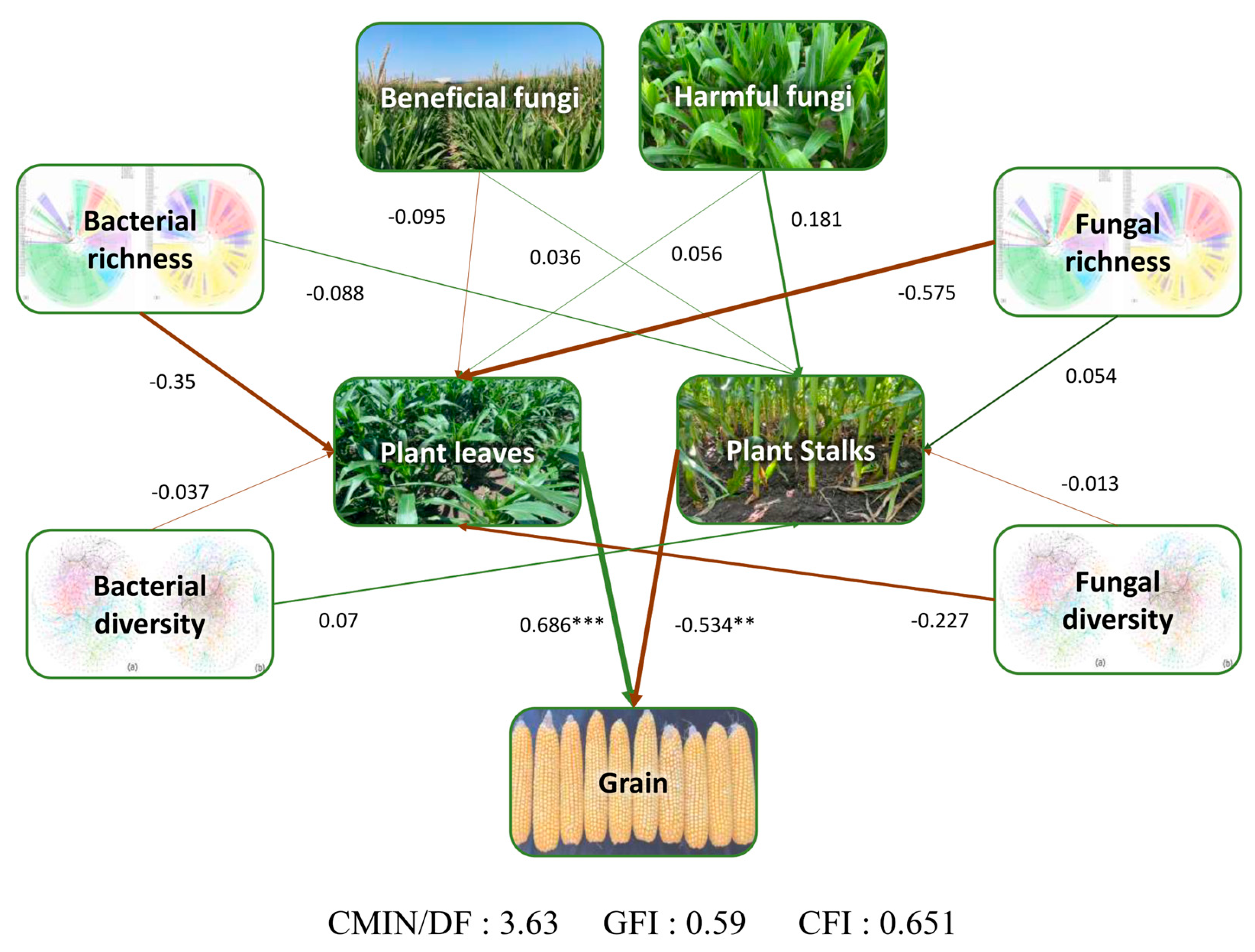 Agronomy 14 02340 g003