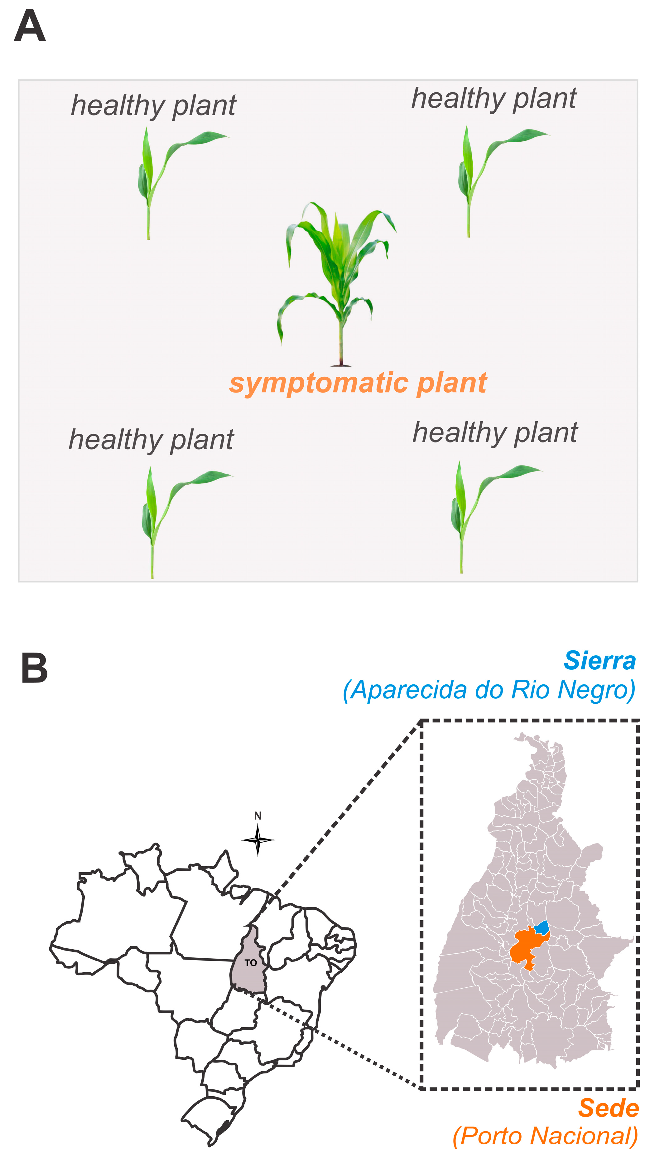 Agronomy 14 02341 g001