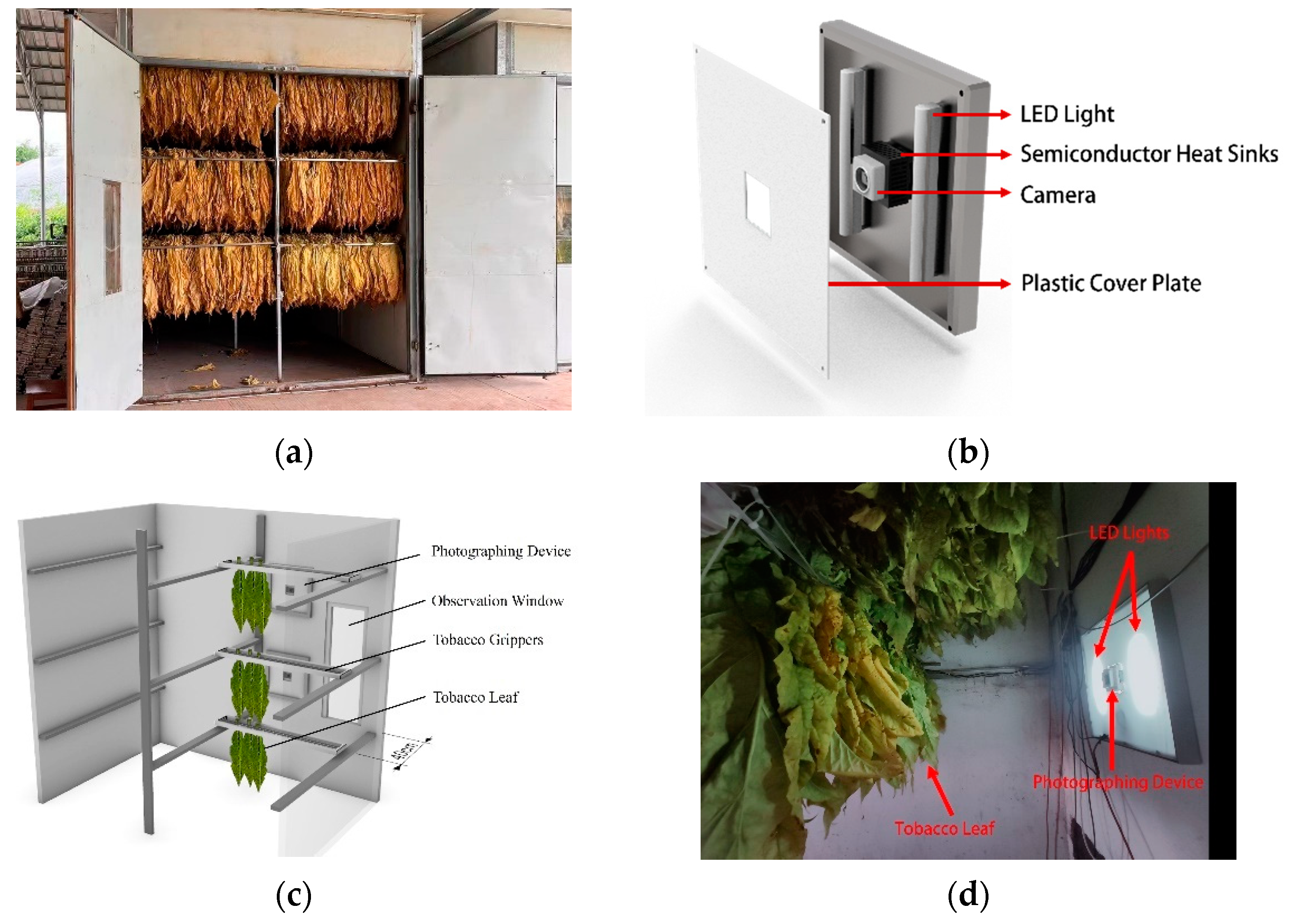 Agronomy 14 02347 g002