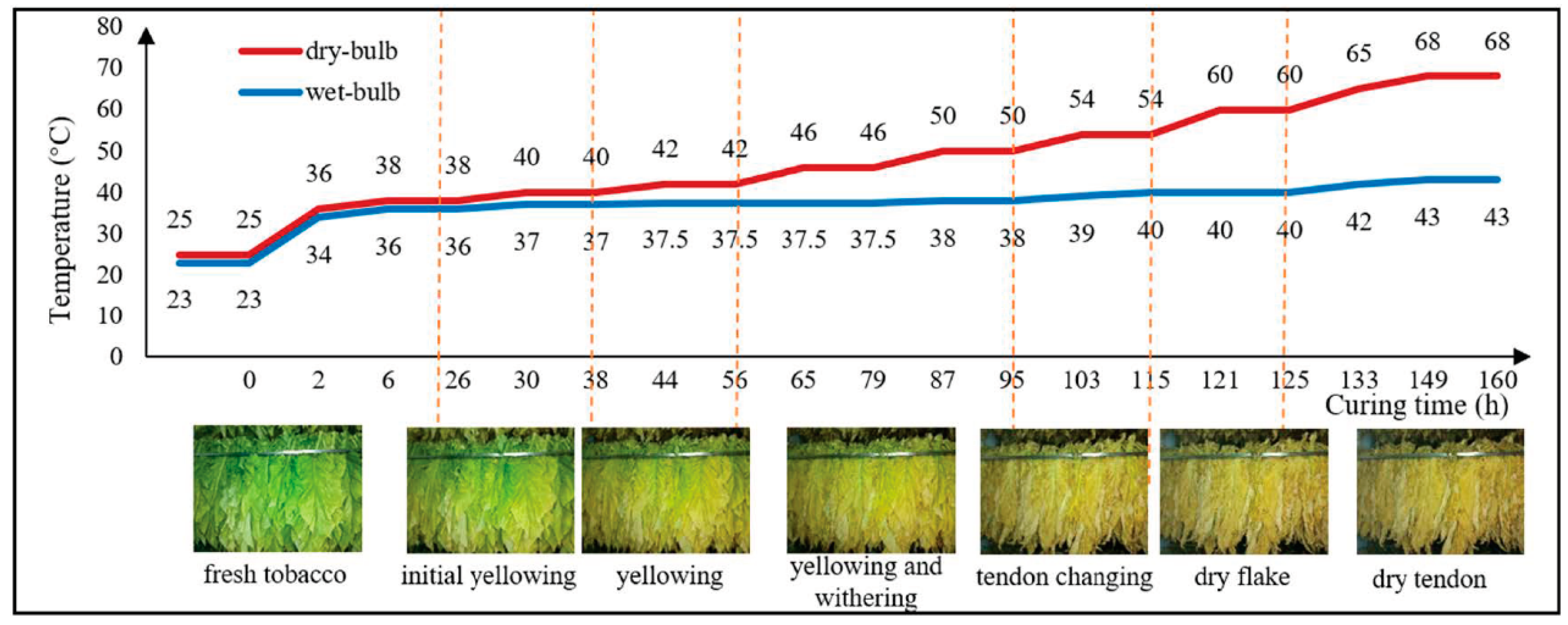 Agronomy 14 02347 g003