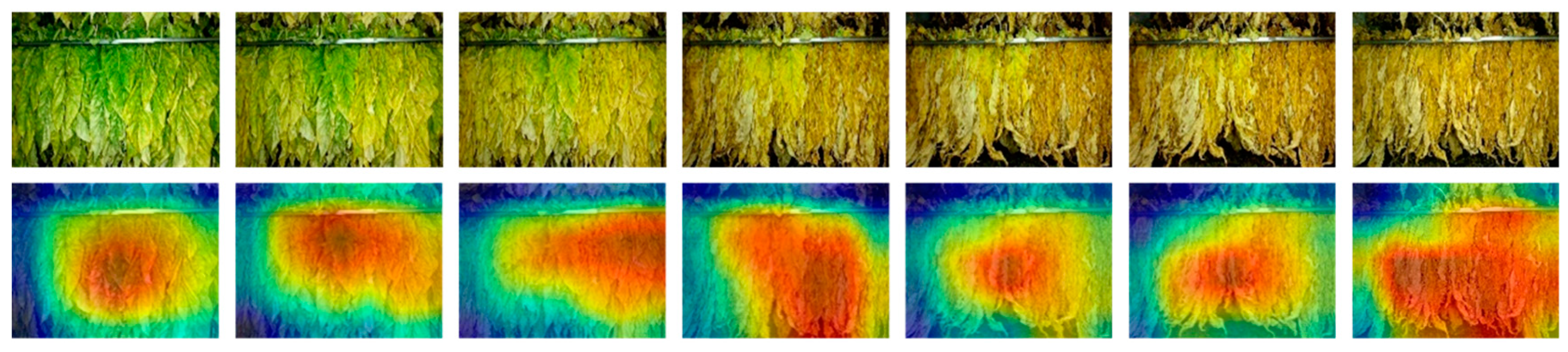 Agronomy 14 02347 g012