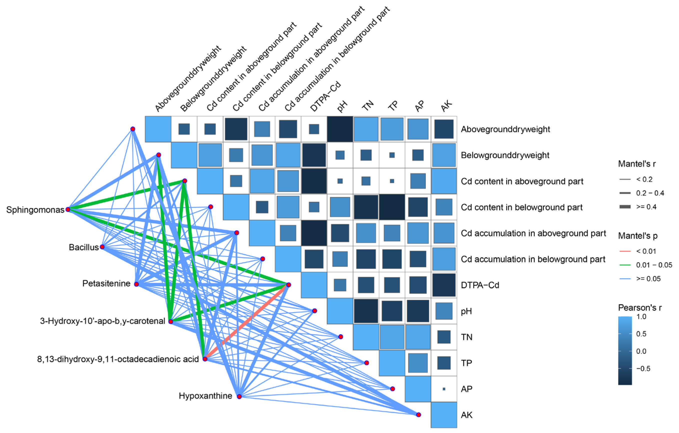 Agronomy 14 02348 g012