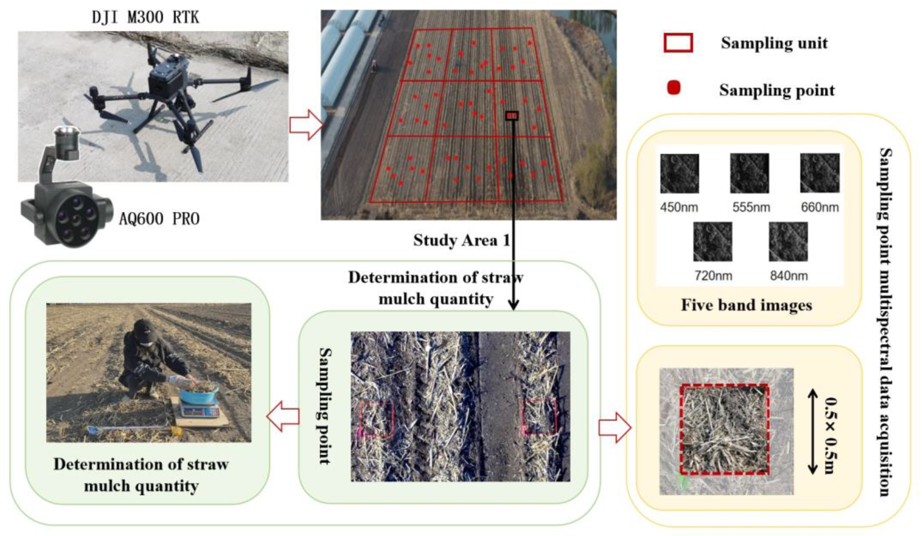 Agronomy 14 02352 g002