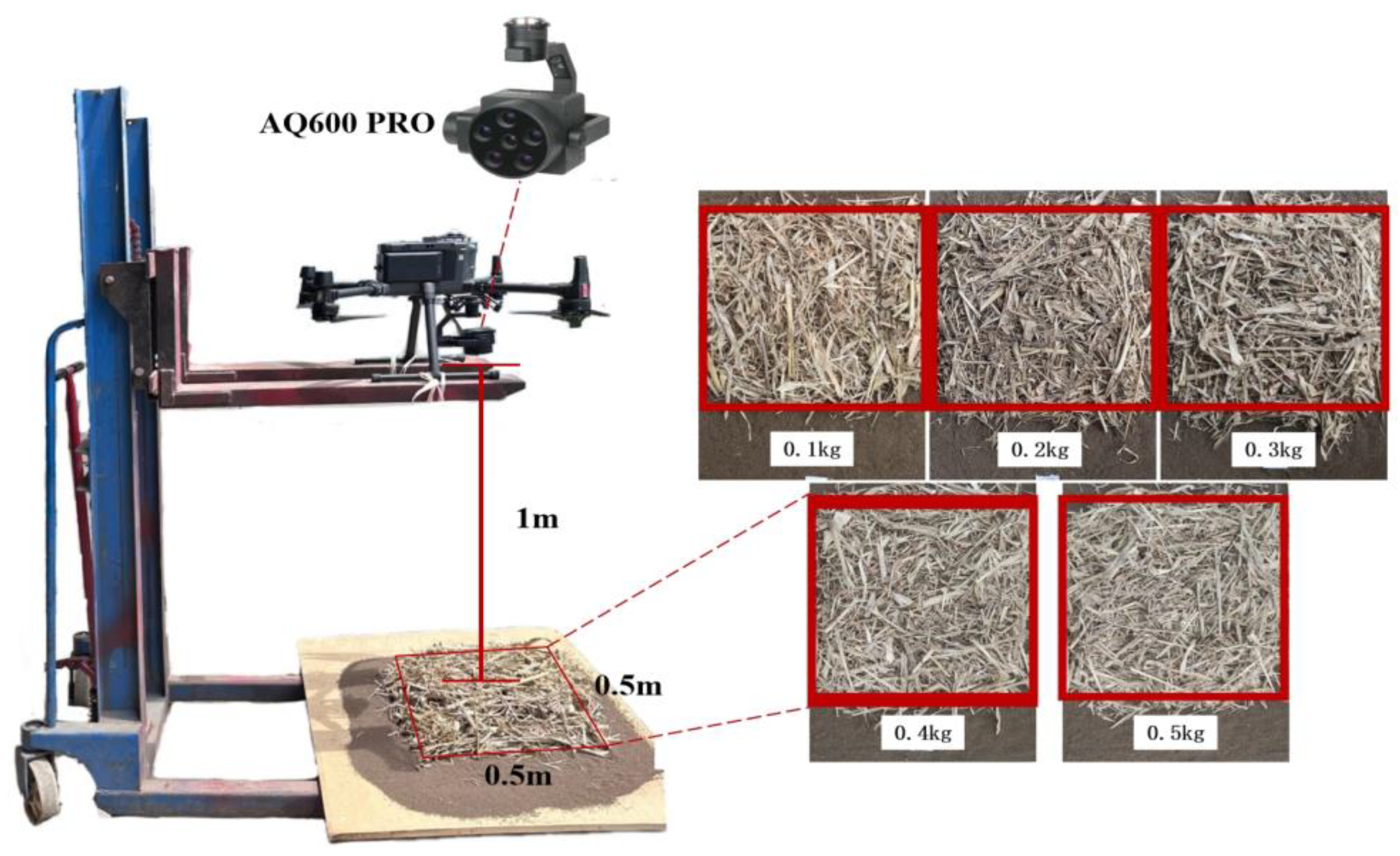 Agronomy 14 02352 g003