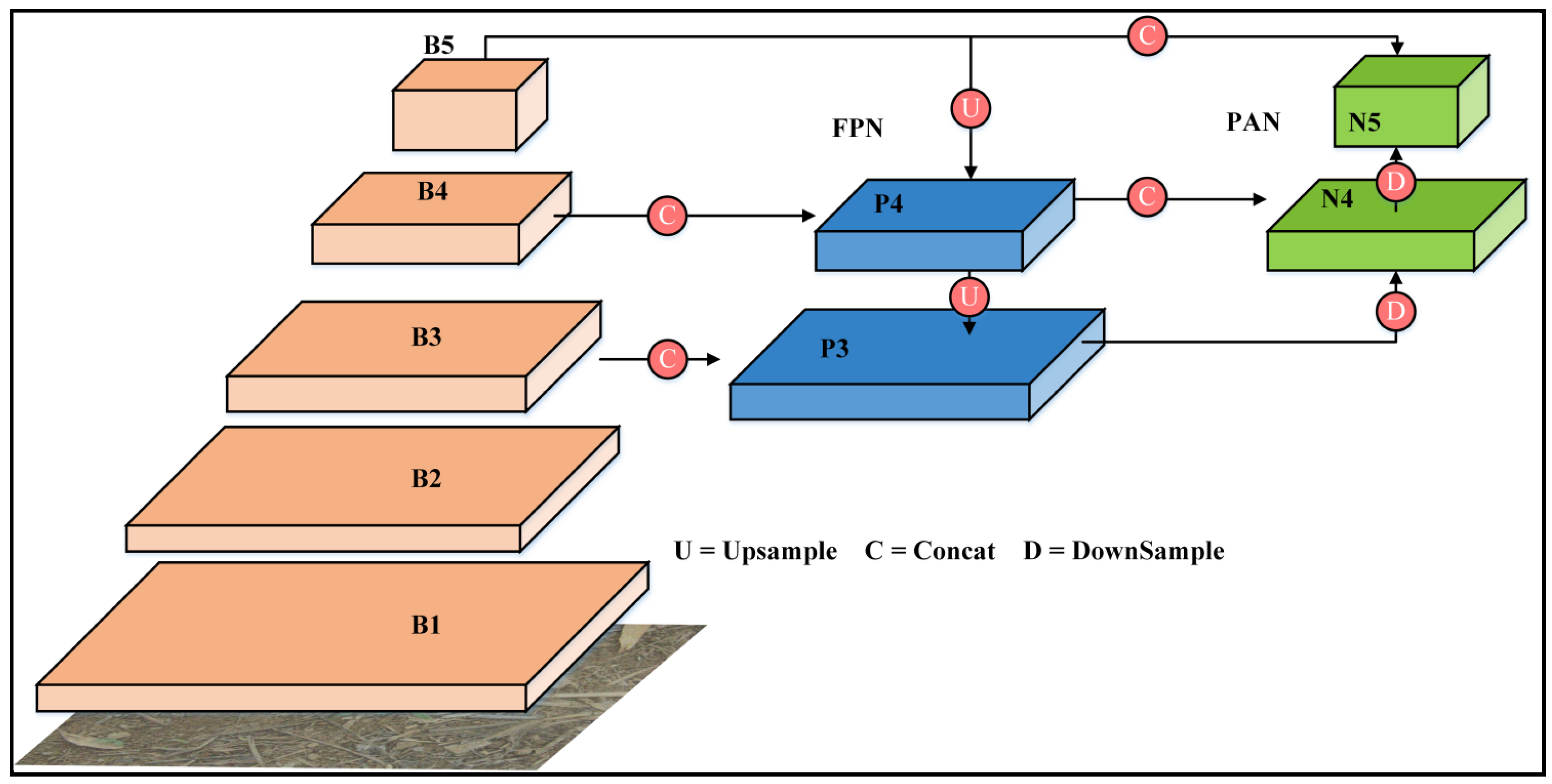 Agronomy 14 02355 g007