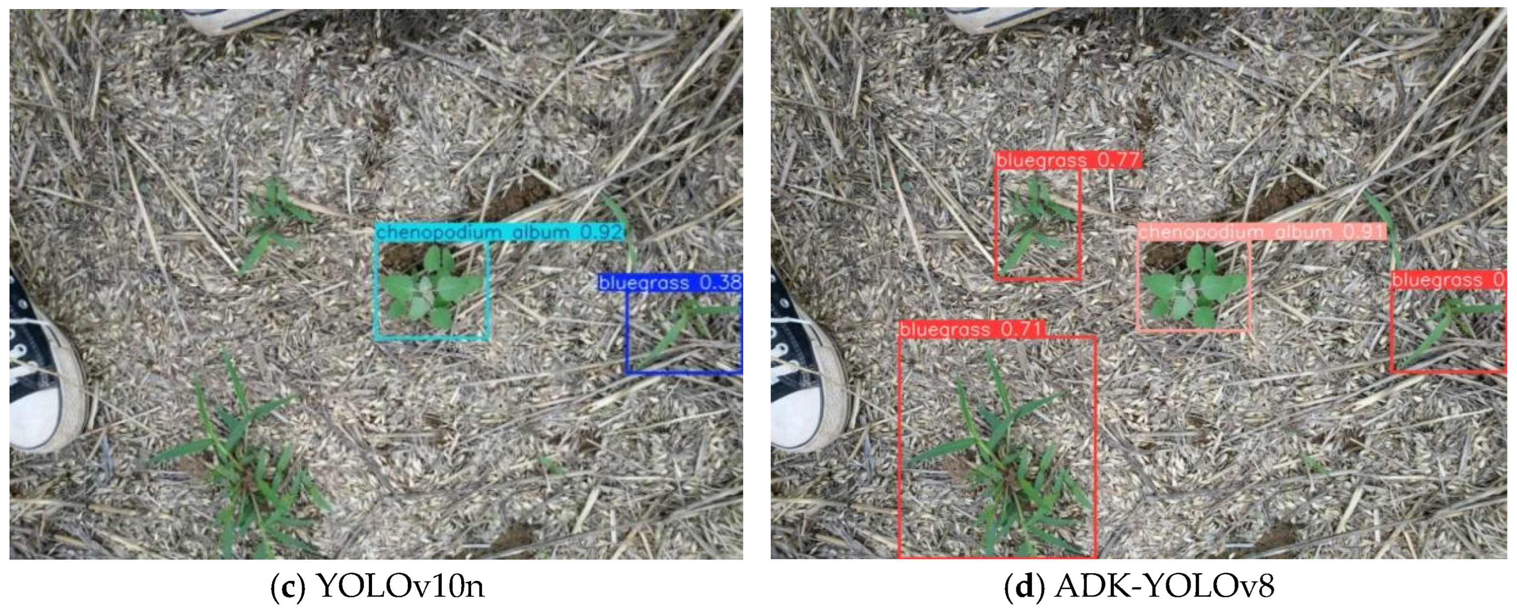 Agronomy 14 02355 g015b