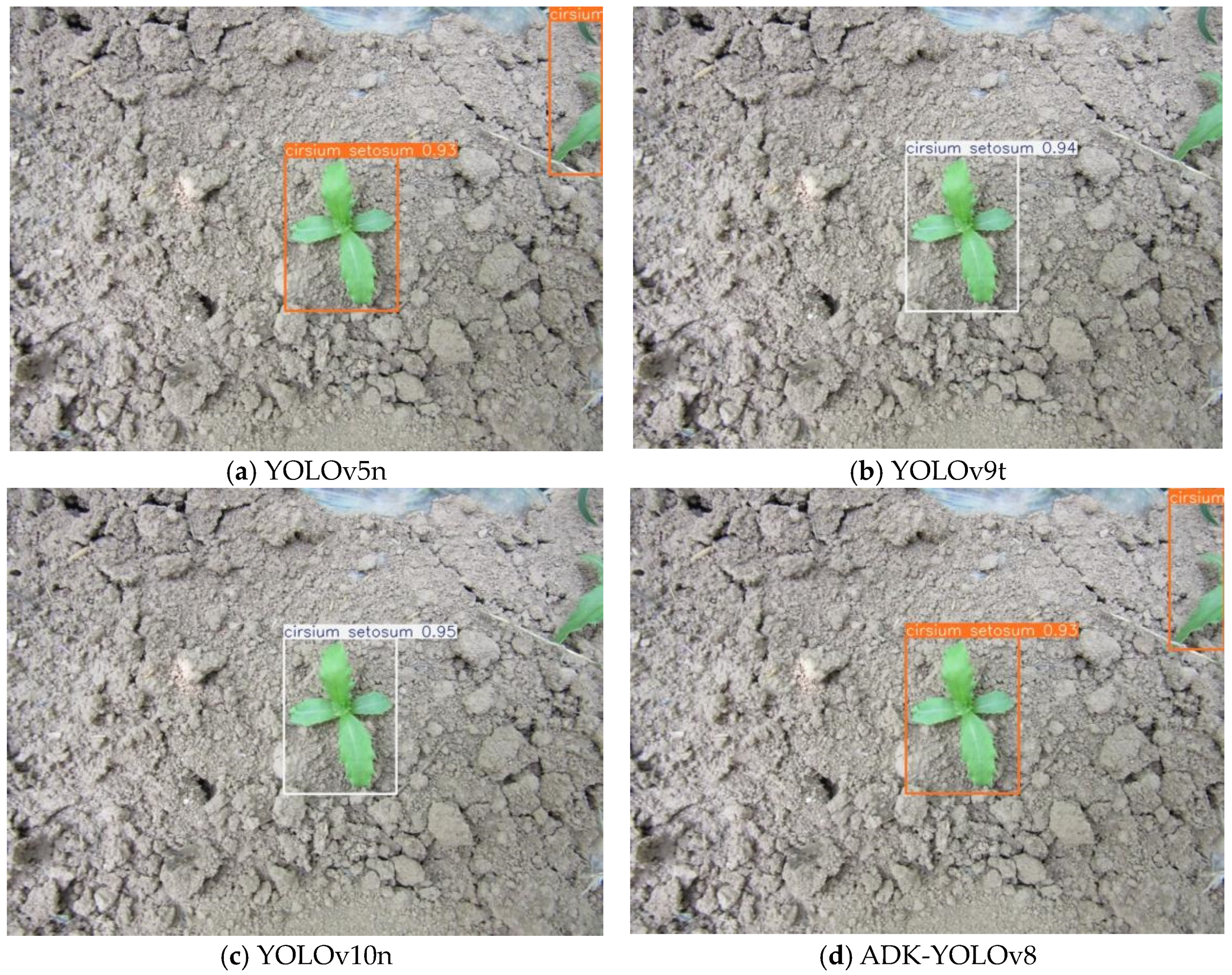 Agronomy 14 02355 g016