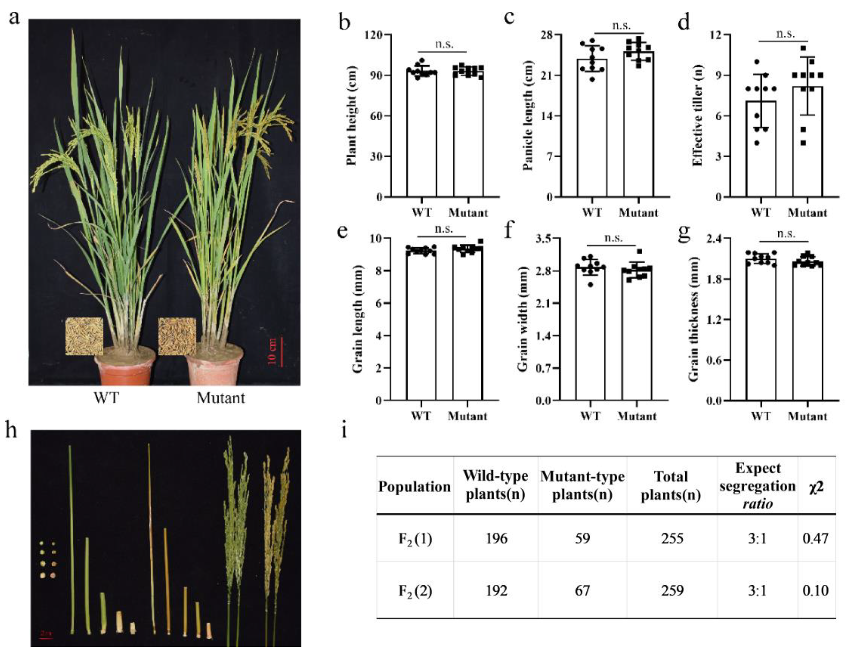 Agronomy 14 02357 g001