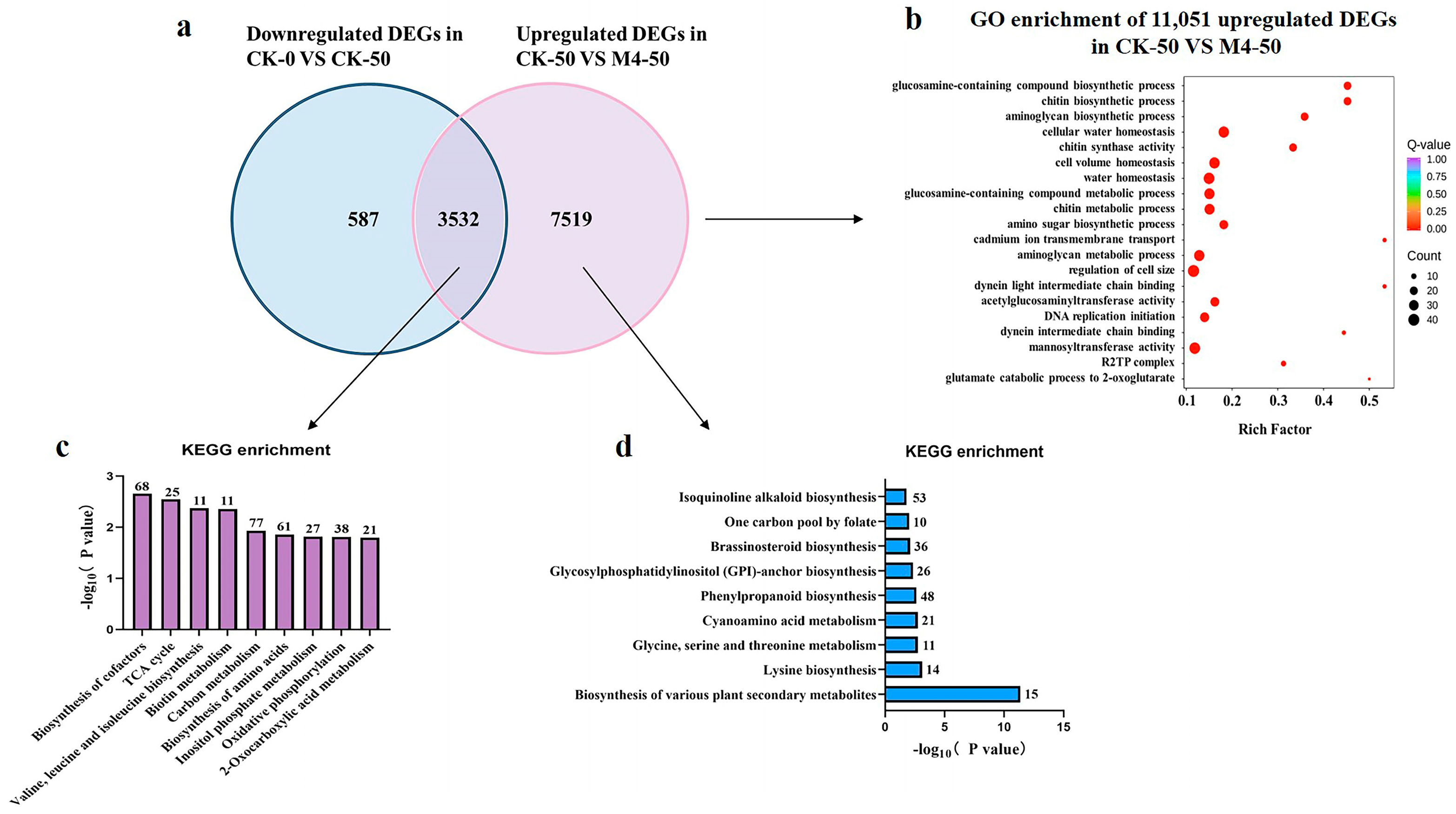 Agronomy 14 02358 g004