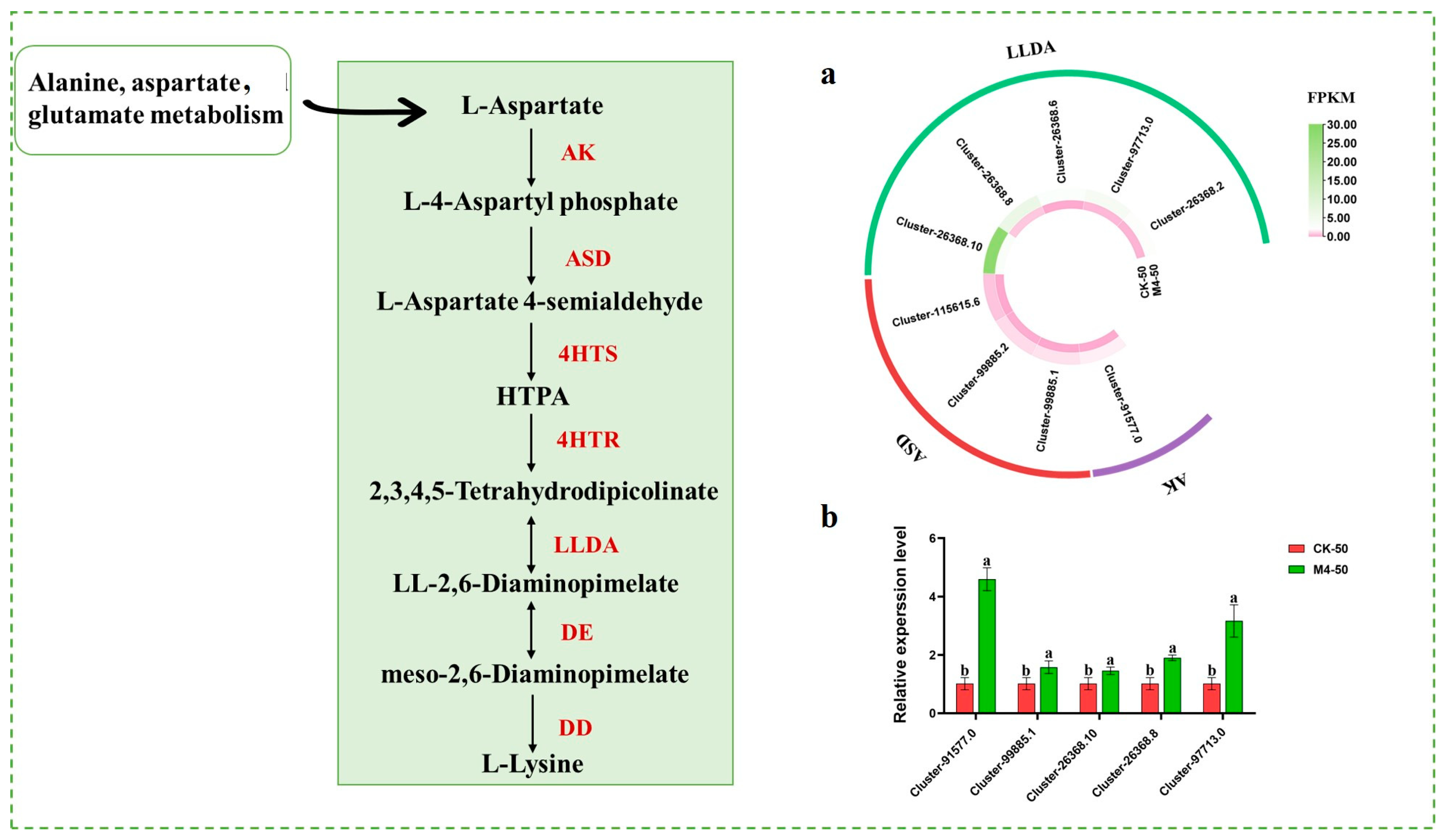 Agronomy 14 02358 g006