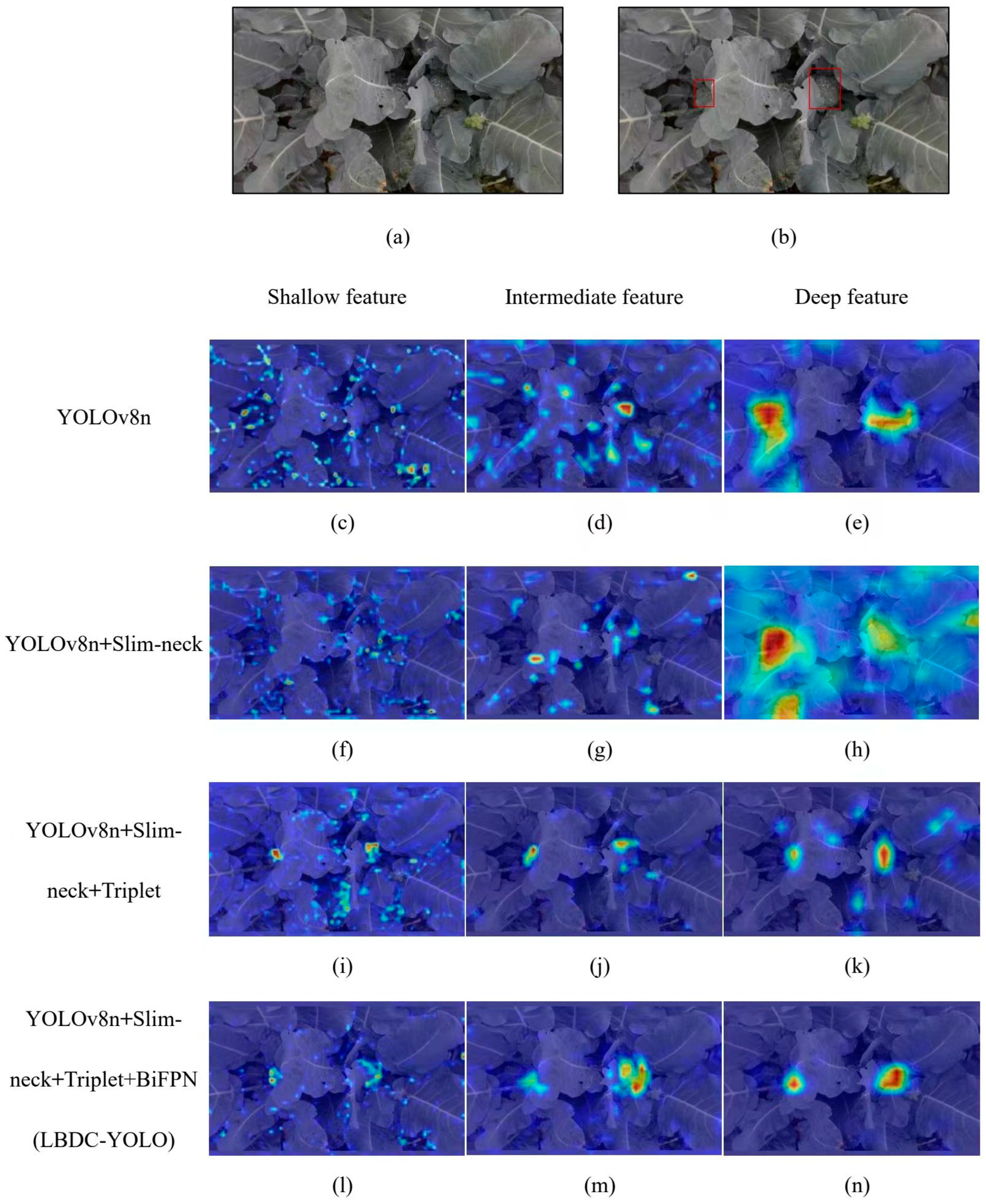 Agronomy 14 02359 g007