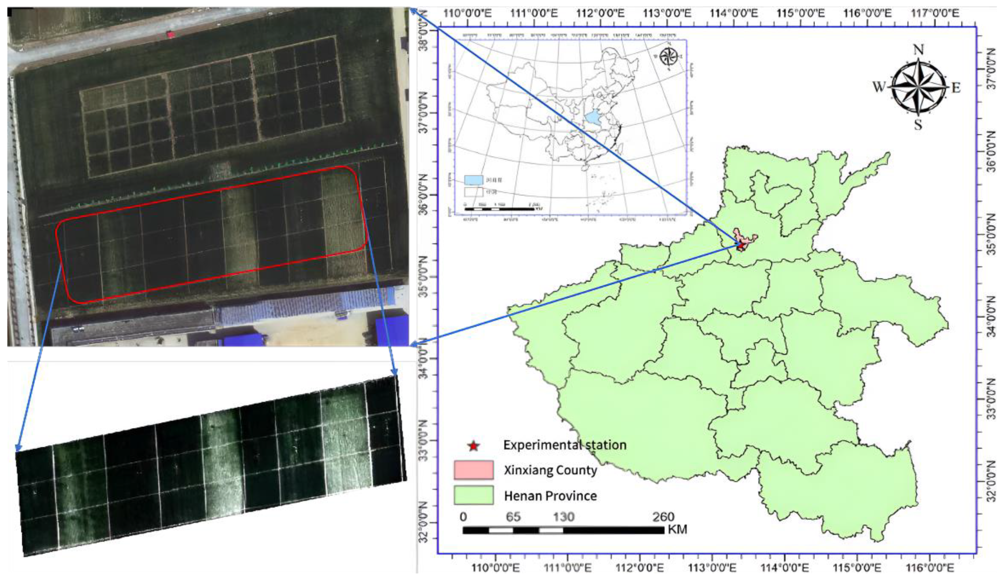 Agronomy 14 02361 g001