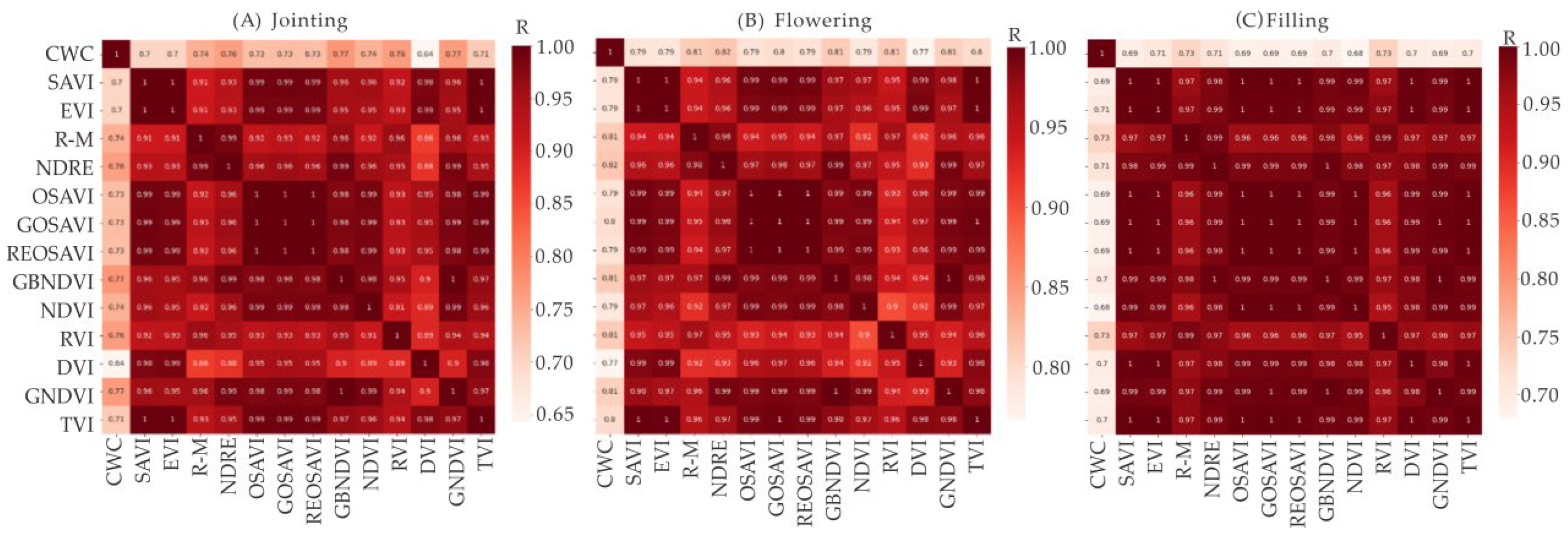 Agronomy 14 02361 g003