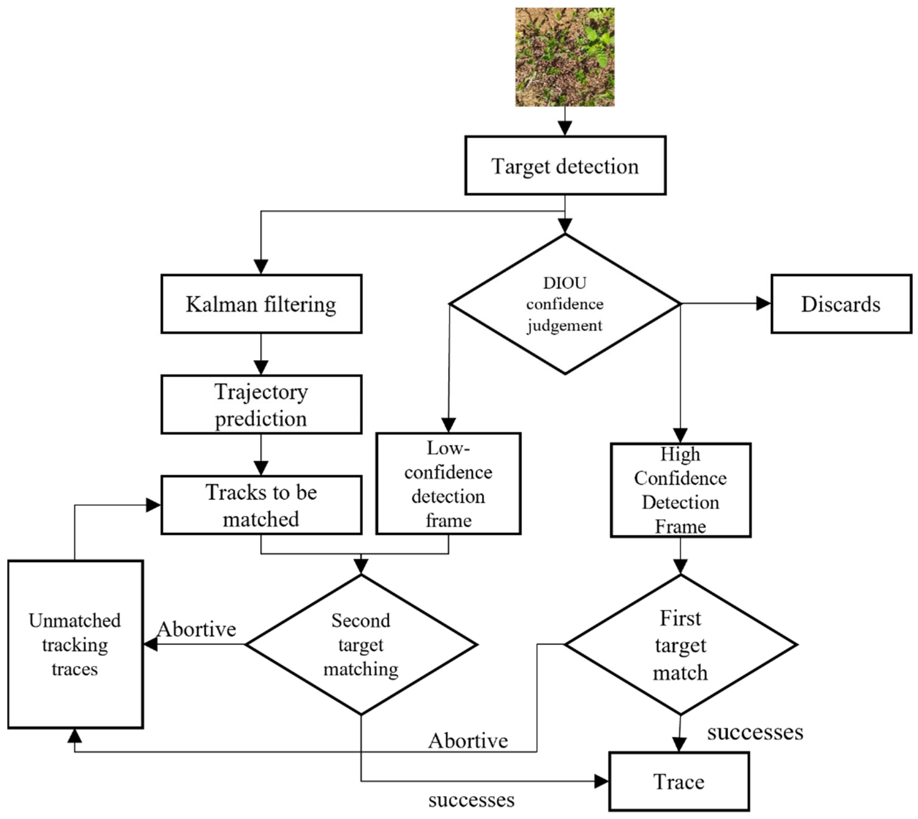 Agronomy 14 02363 g009