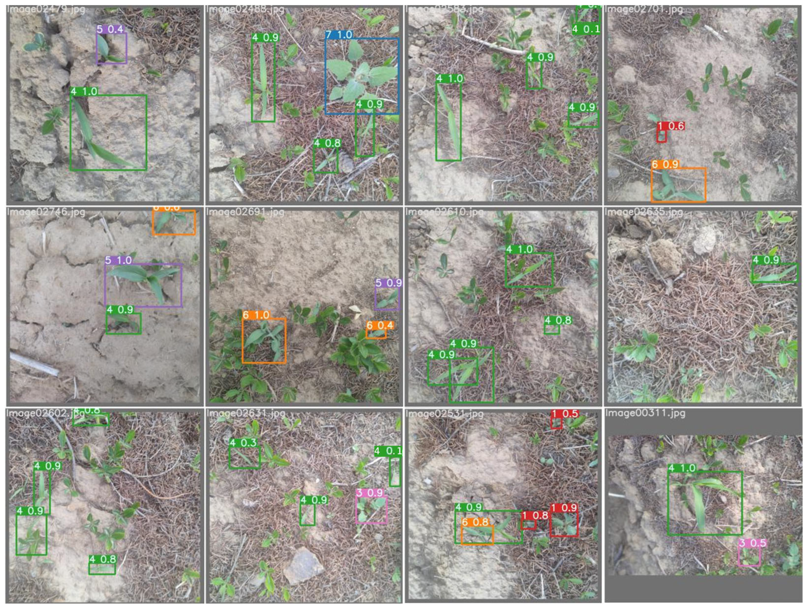 Agronomy 14 02363 g010