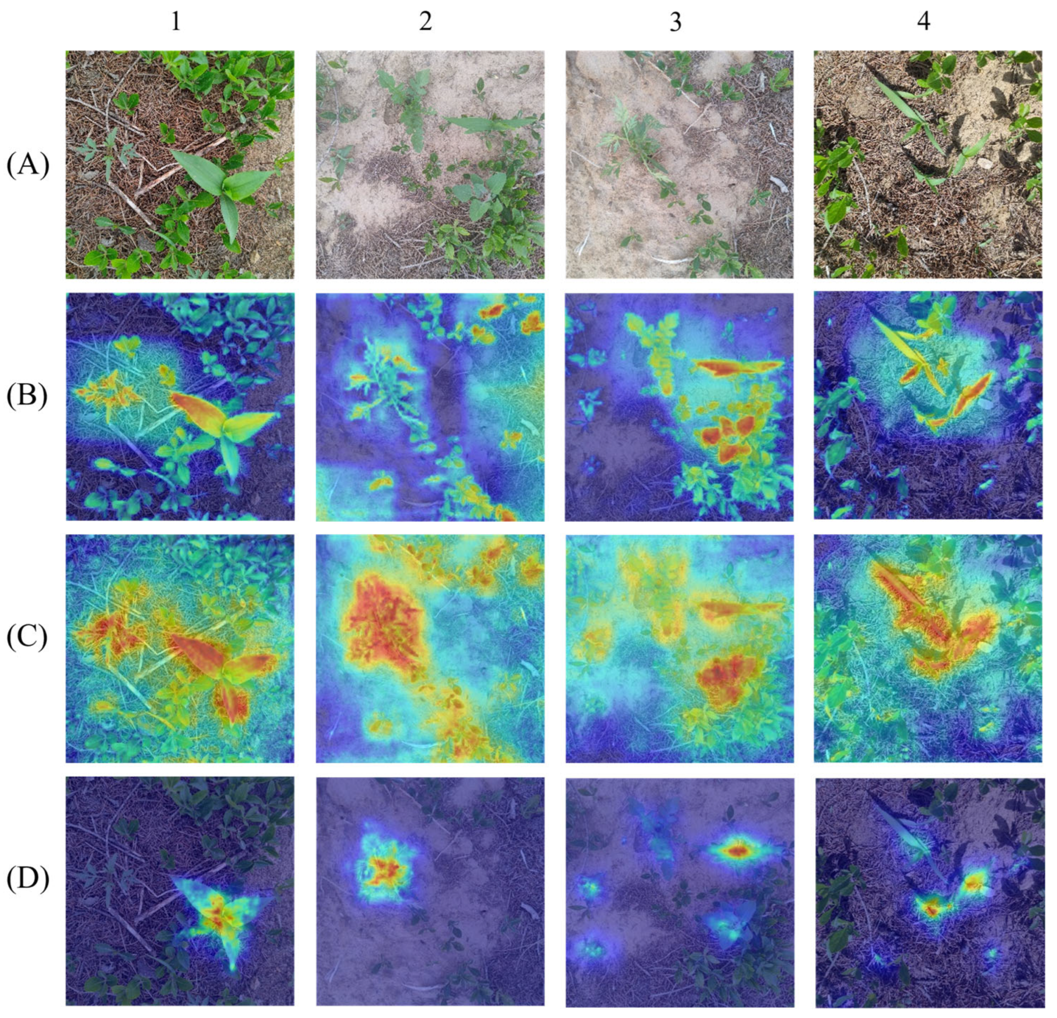 Agronomy 14 02363 g012