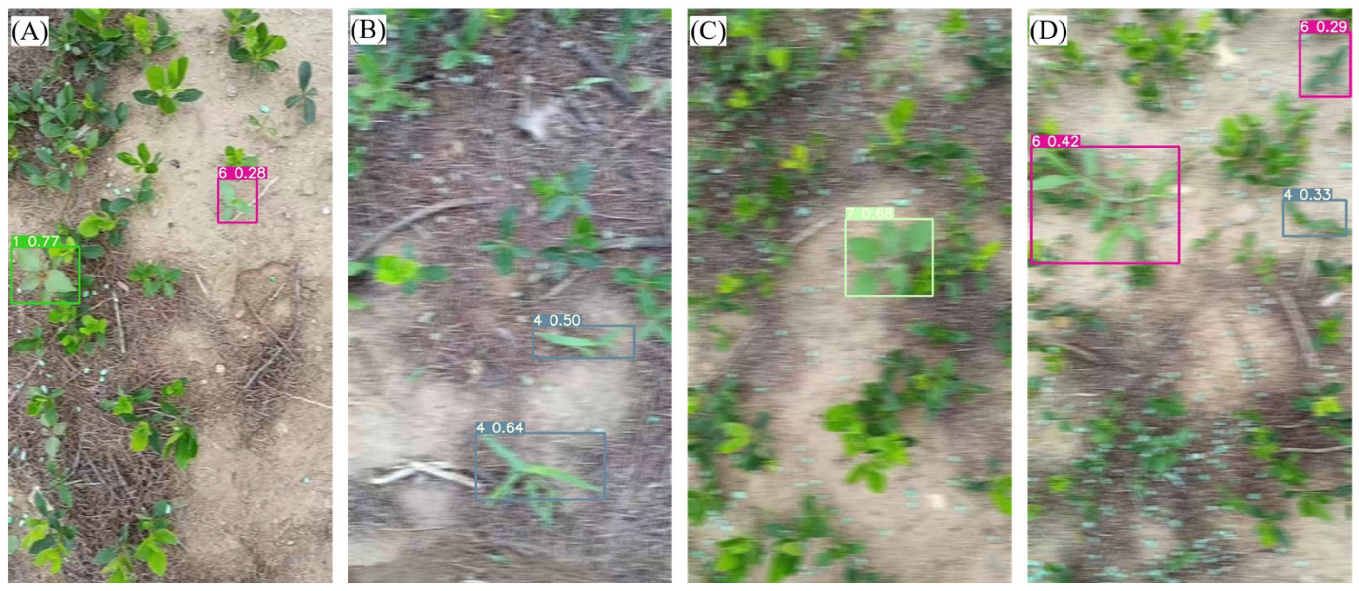 Agronomy 14 02363 g014