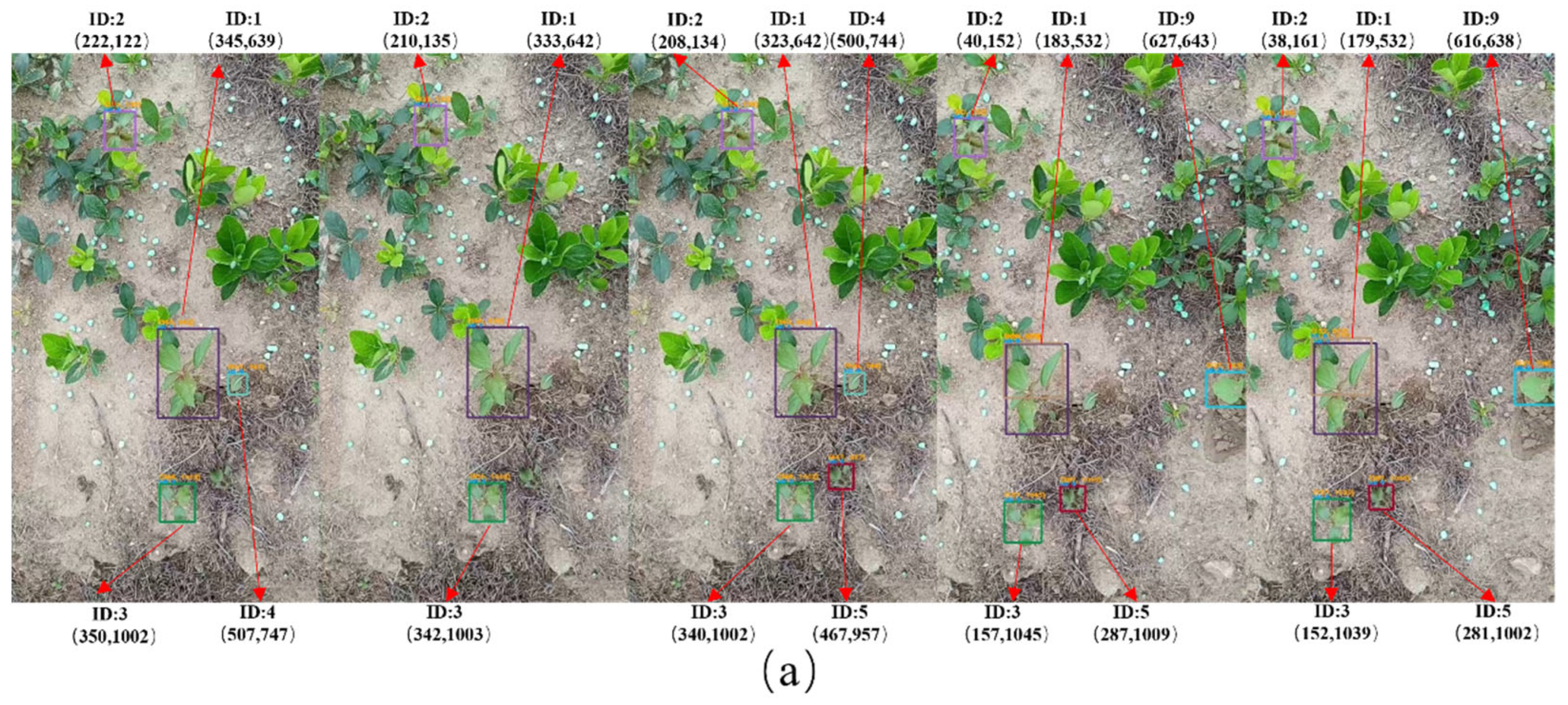 Agronomy 14 02363 g015a